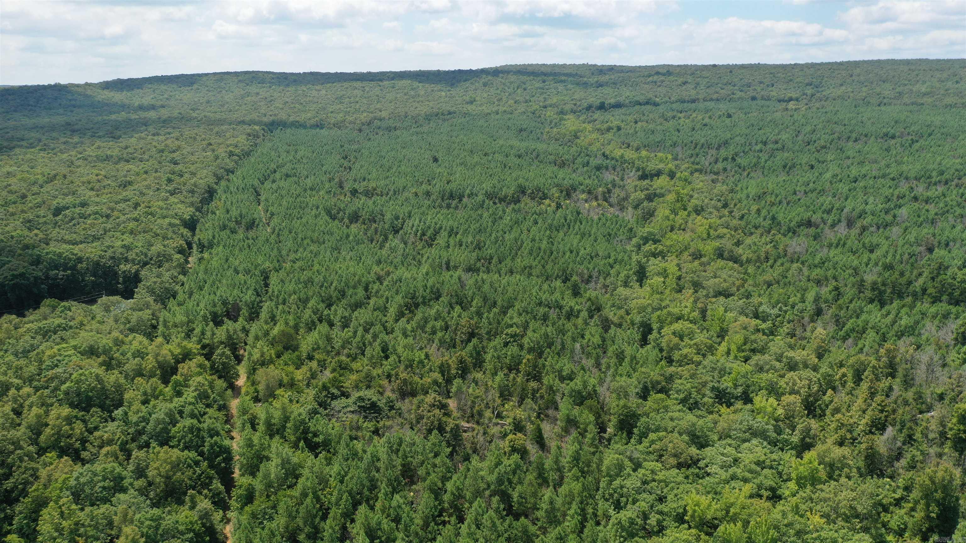 Photo 24 - Vacant Land for sale – 0  Goat Neck   Bradford, AR