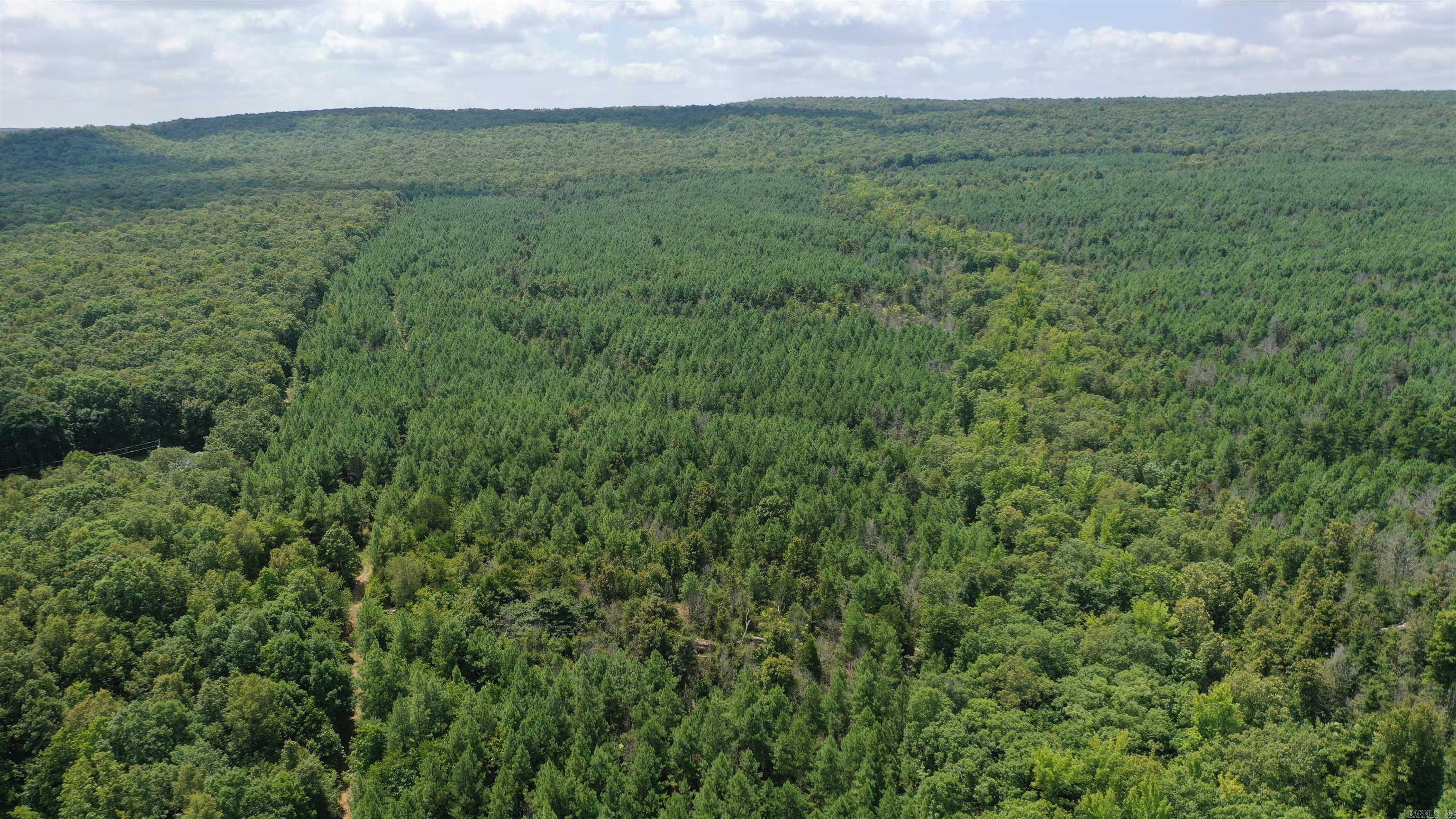 Photo 4 - Vacant Land for sale – 0  Goat Neck   Bradford, AR