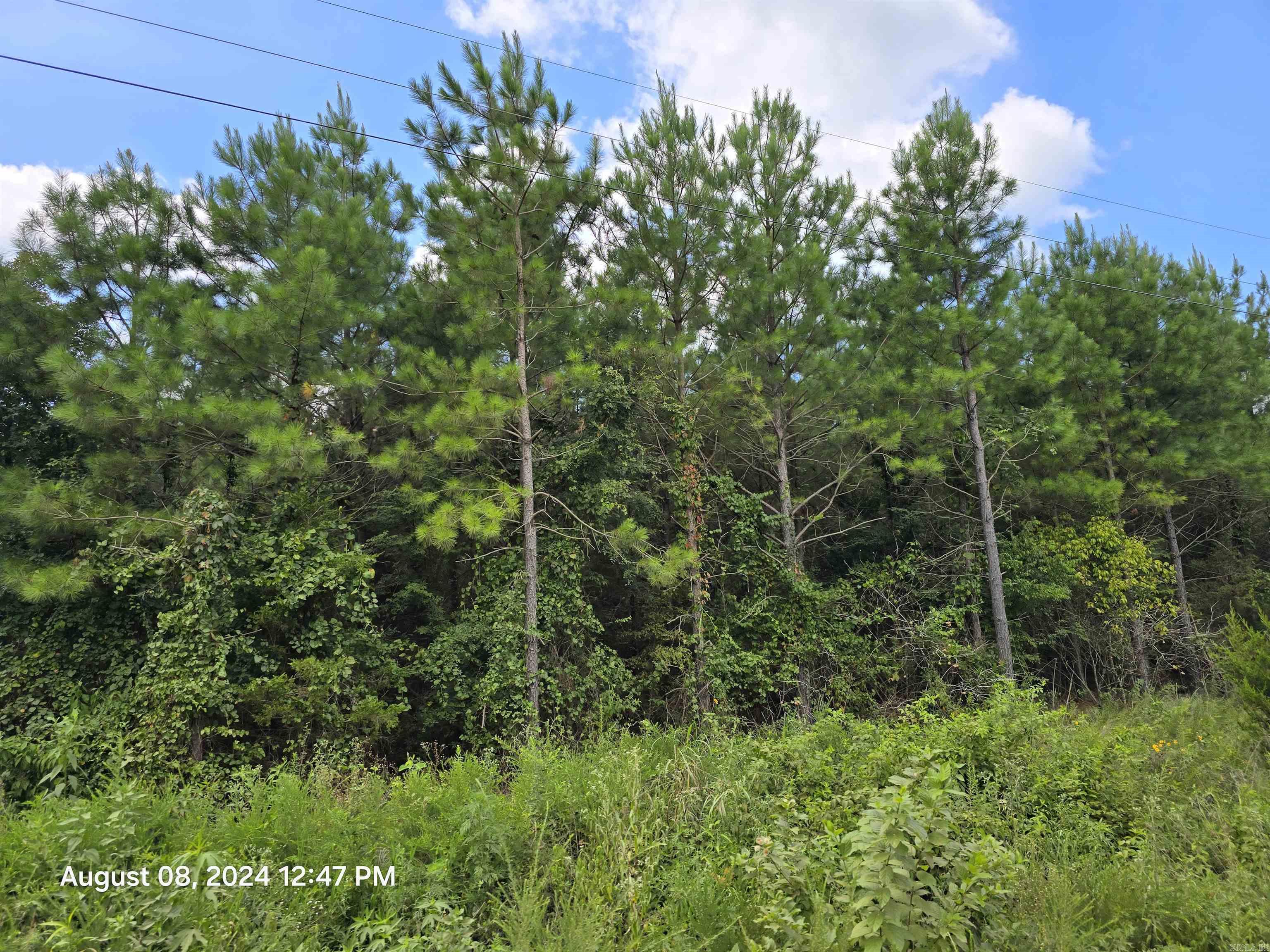Photo 7 - Vacant Land for sale – 0  Goat Neck   Bradford, AR
