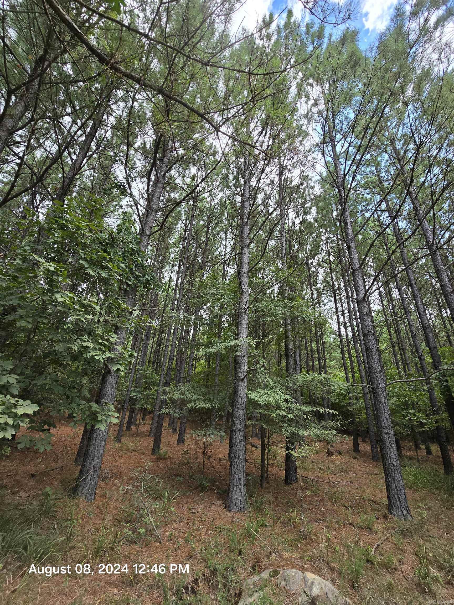 Photo 8 - Vacant Land for sale – 0  Goat Neck   Bradford, AR