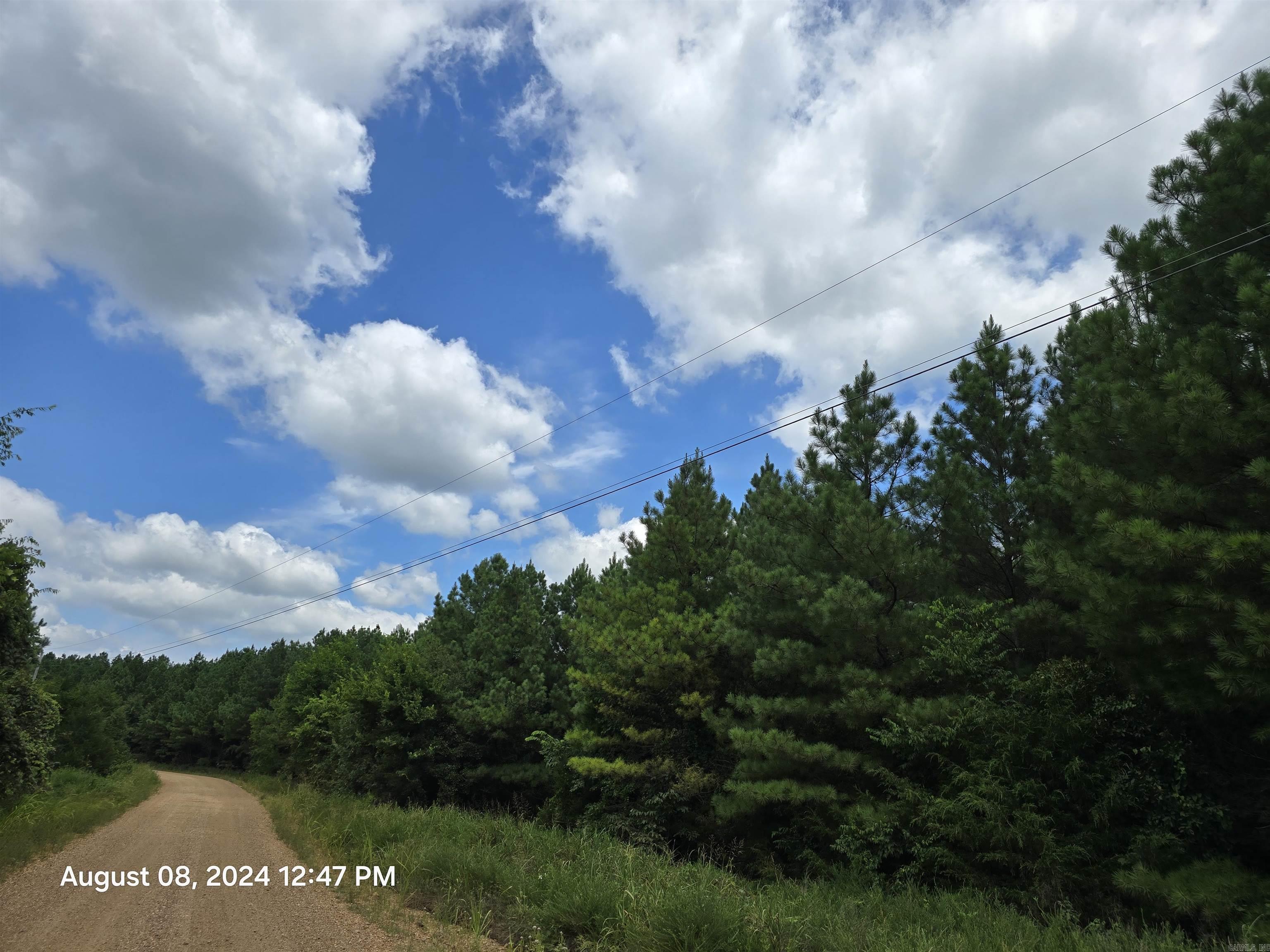 Photo 9 - Vacant Land for sale – 0  Goat Neck   Bradford, AR