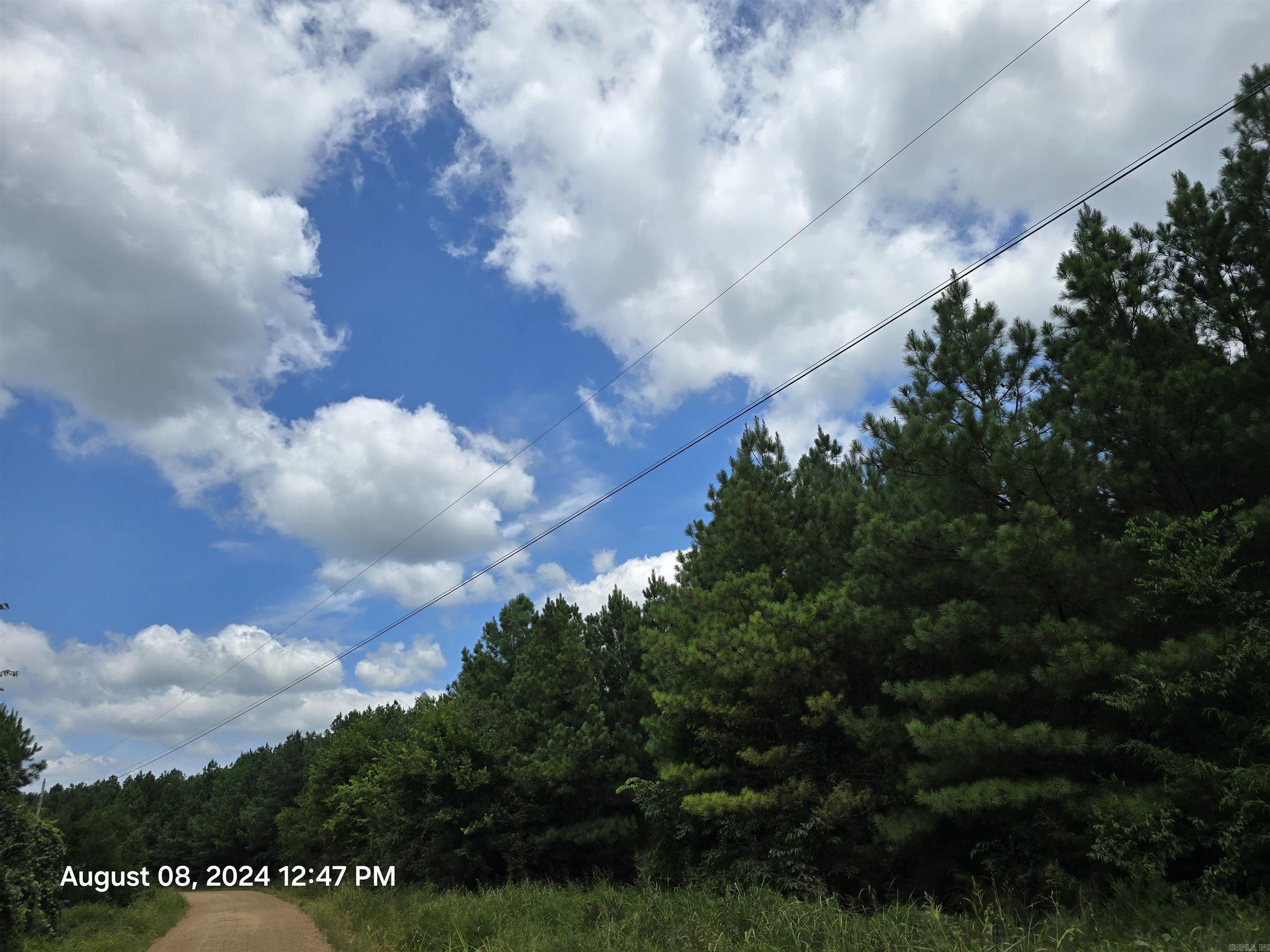 Photo 10 - Vacant Land for sale – 0  Goat Neck   Bradford, AR