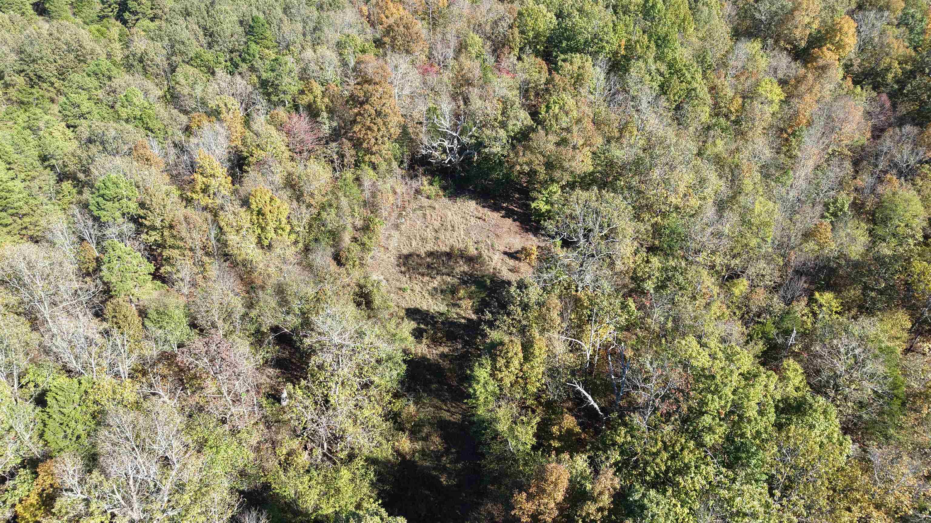 Photo 2 - Vacant Land for sale – 10A  Highway 58   Sidney, AR