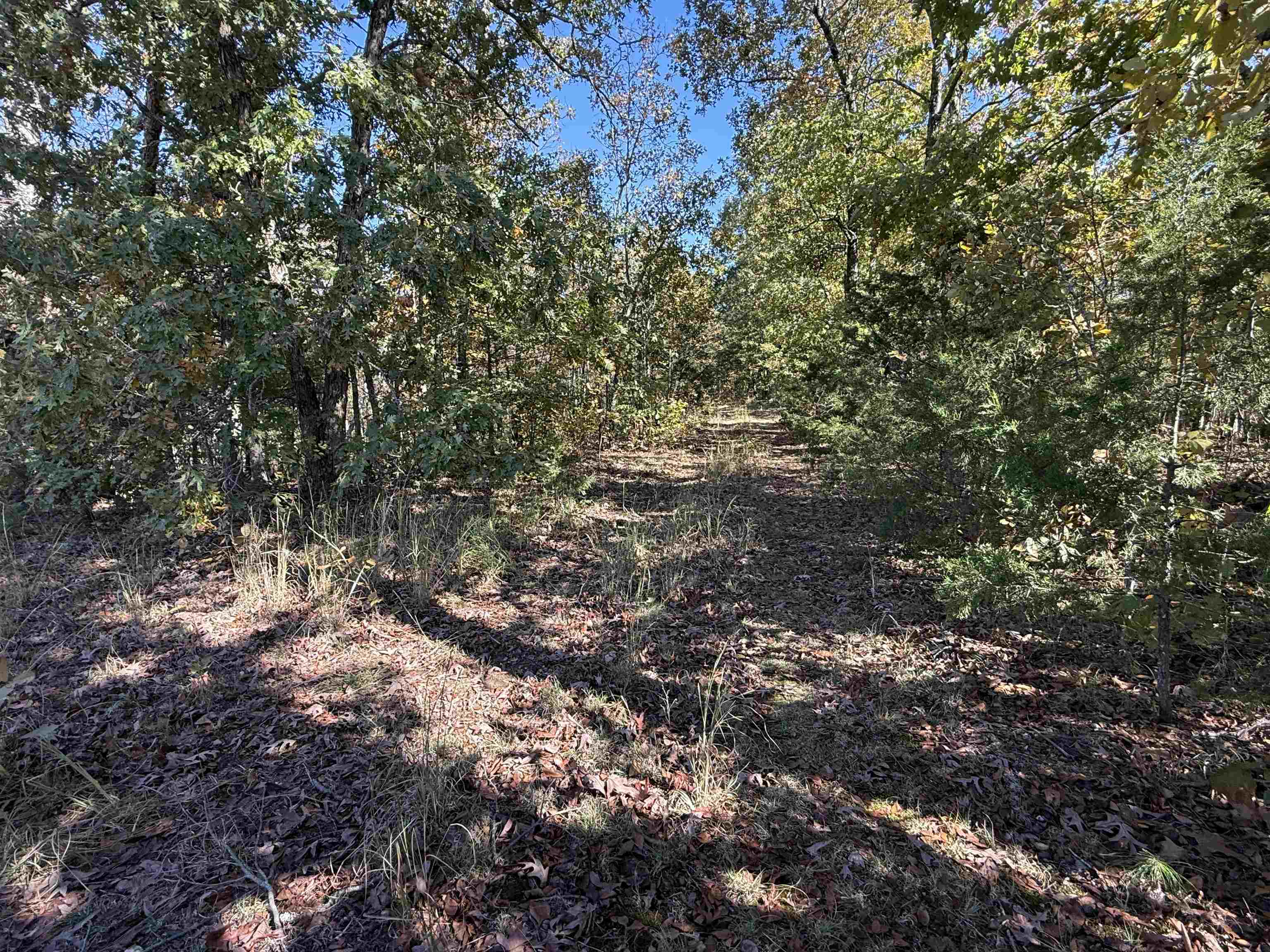 Photo 4 - Vacant Land for sale – 10A  Highway 58   Sidney, AR