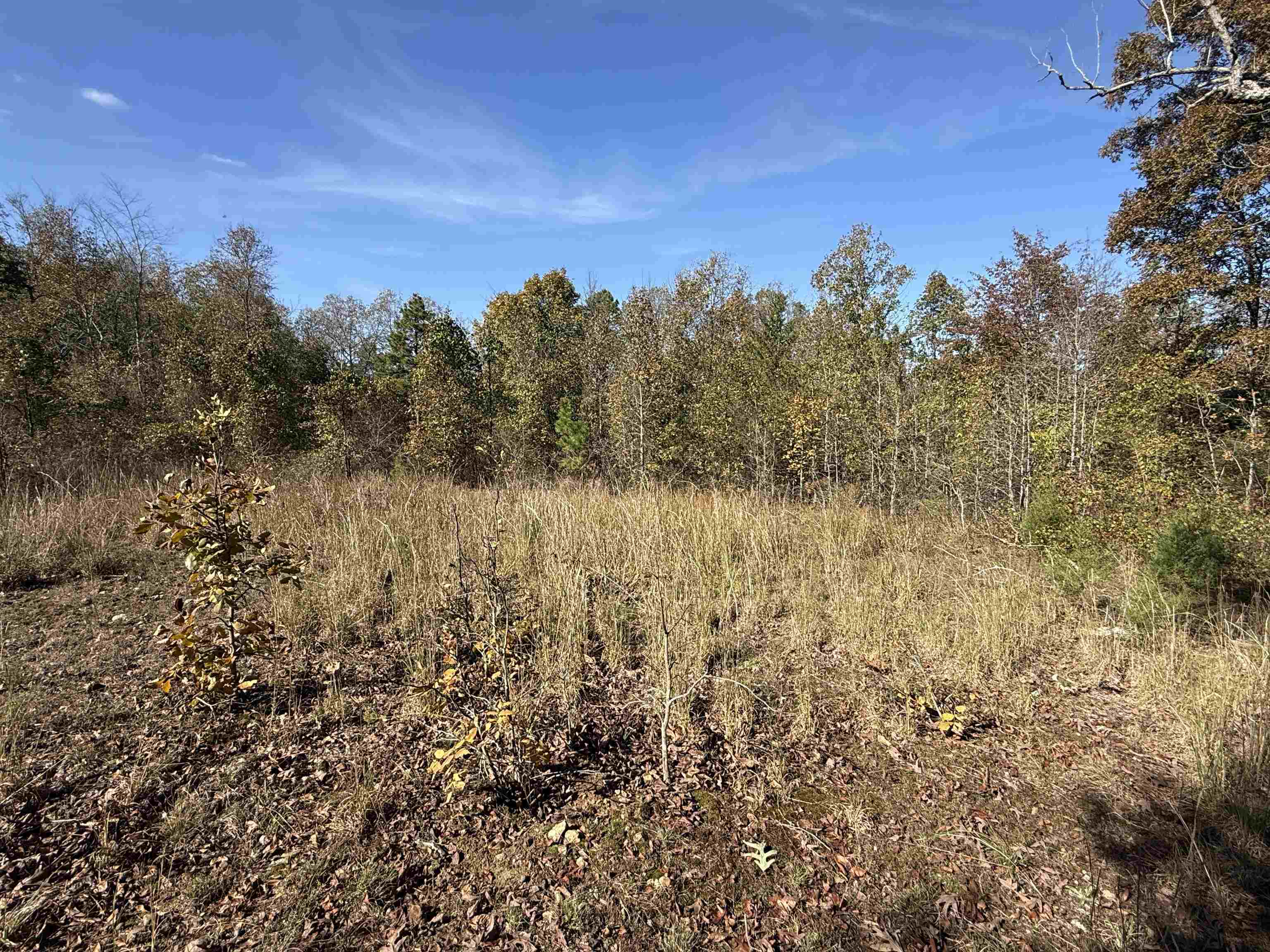 Photo 5 - Vacant Land for sale – 10A  Highway 58   Sidney, AR