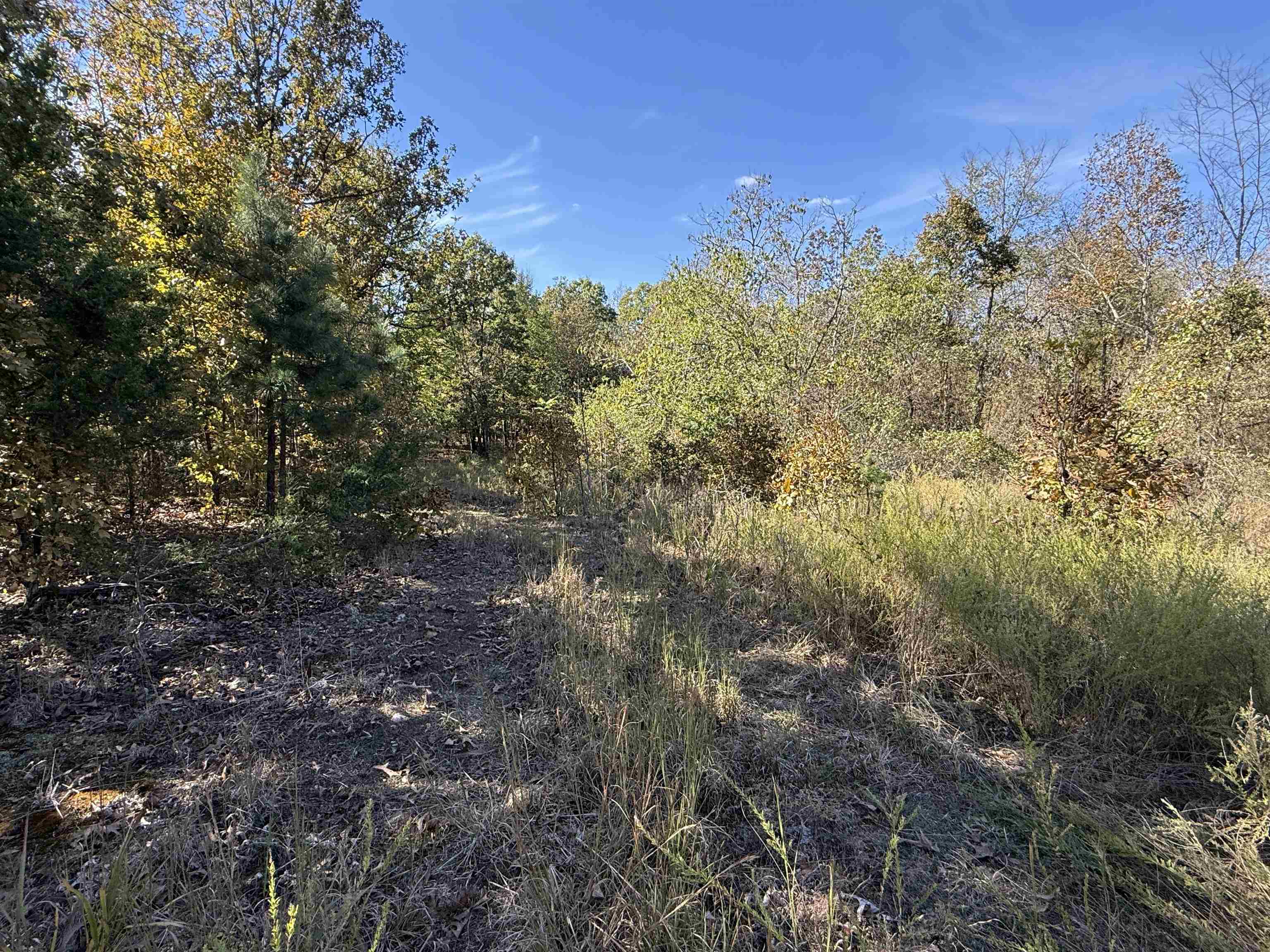 Photo 6 - Vacant Land for sale – 10A  Highway 58   Sidney, AR