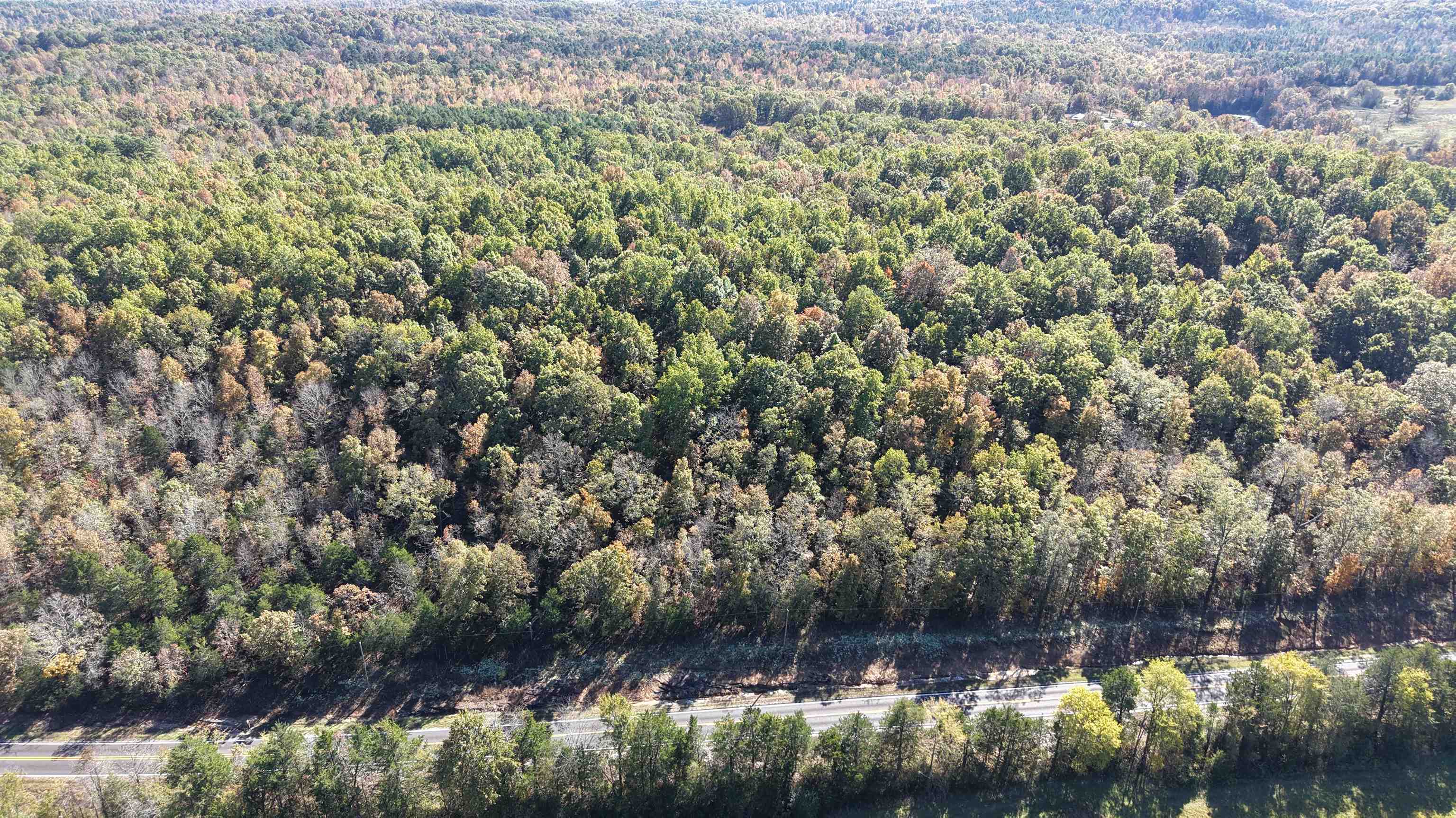 Photo 15 - Vacant Land for sale – 13.5A  Highway 58   Sidney, AR