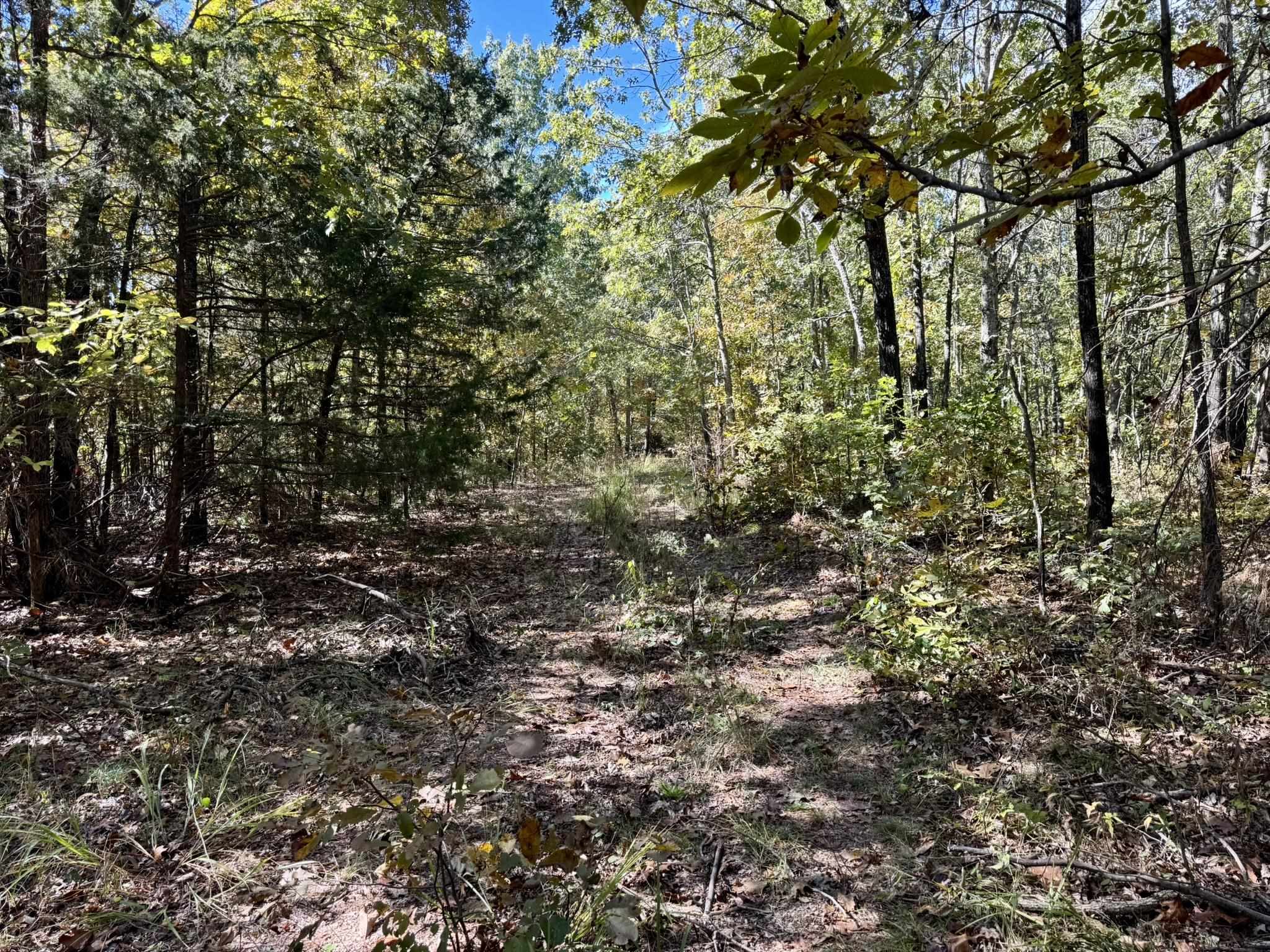 Photo 3 - Vacant Land for sale – 13.5A  Highway 58   Sidney, AR