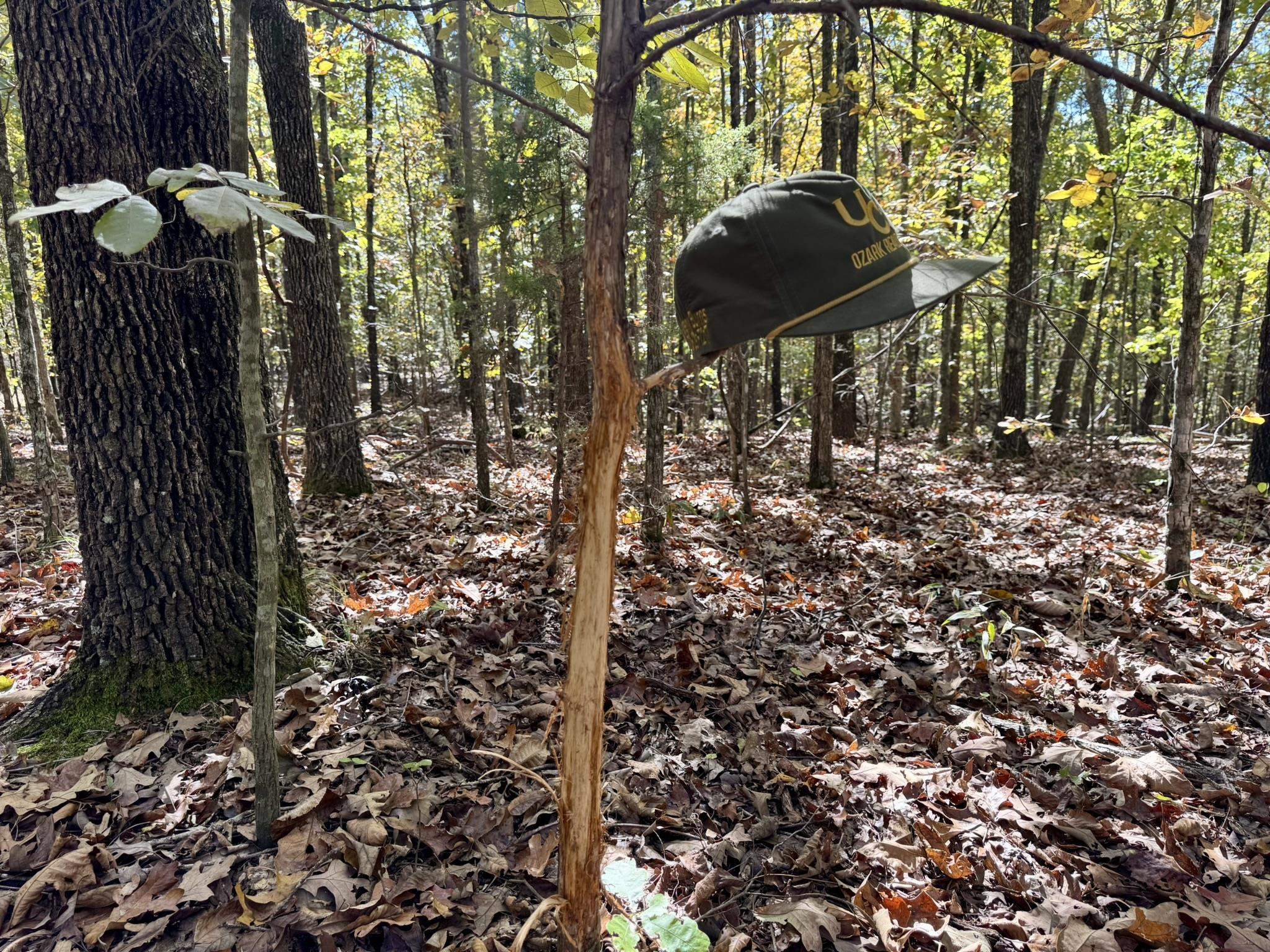 Photo 4 - Vacant Land for sale – 13.5A  Highway 58   Sidney, AR