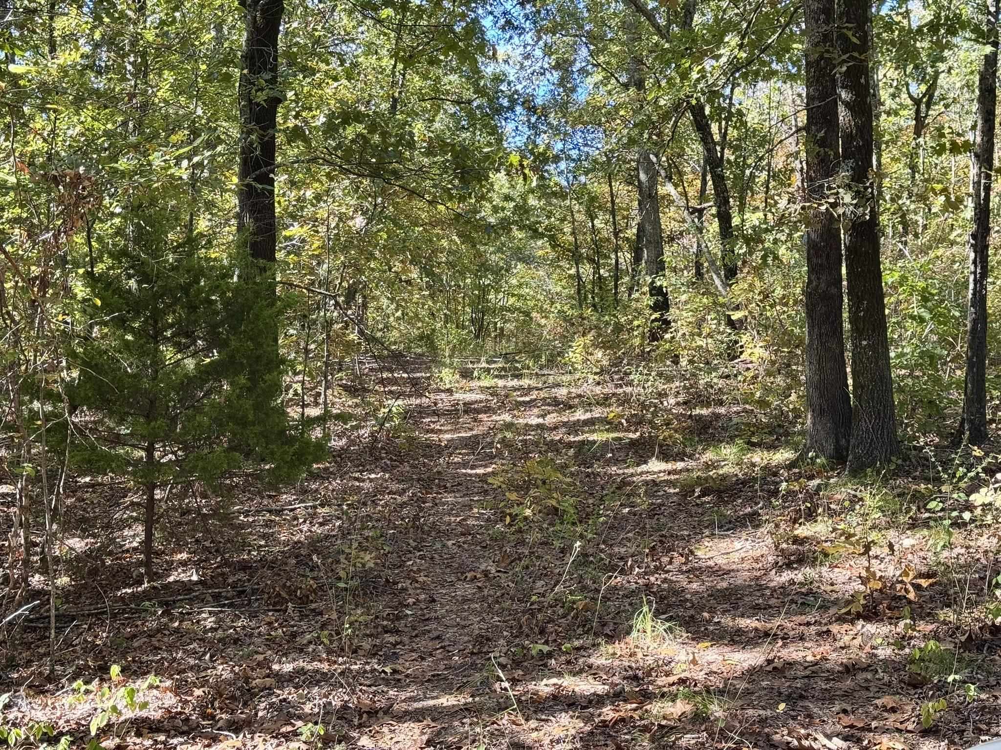 Photo 6 - Vacant Land for sale – 13.5A  Highway 58   Sidney, AR