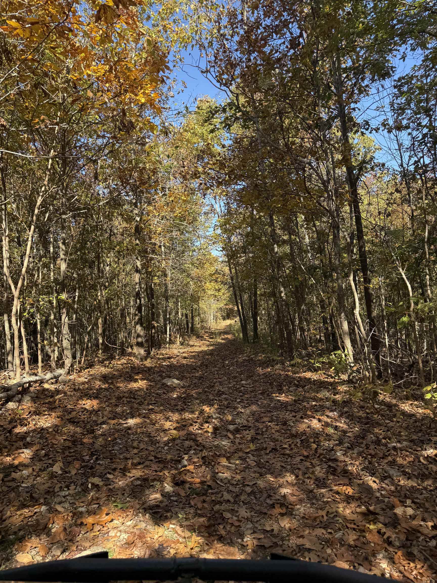 Photo 3 - Residential for sale – 618  Martin Creek   Williford, AR