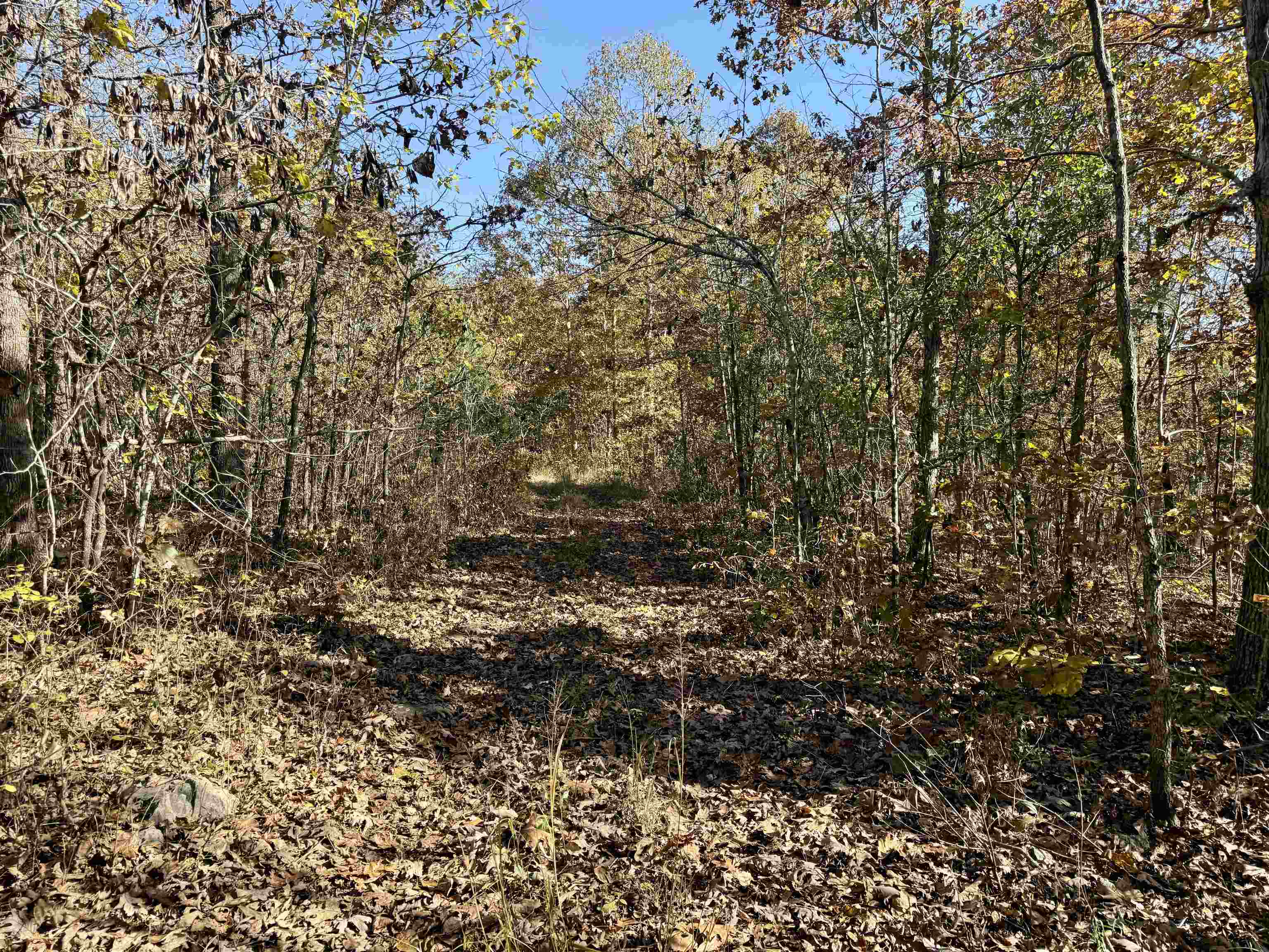 Photo 4 - Residential for sale – 618  Martin Creek   Williford, AR