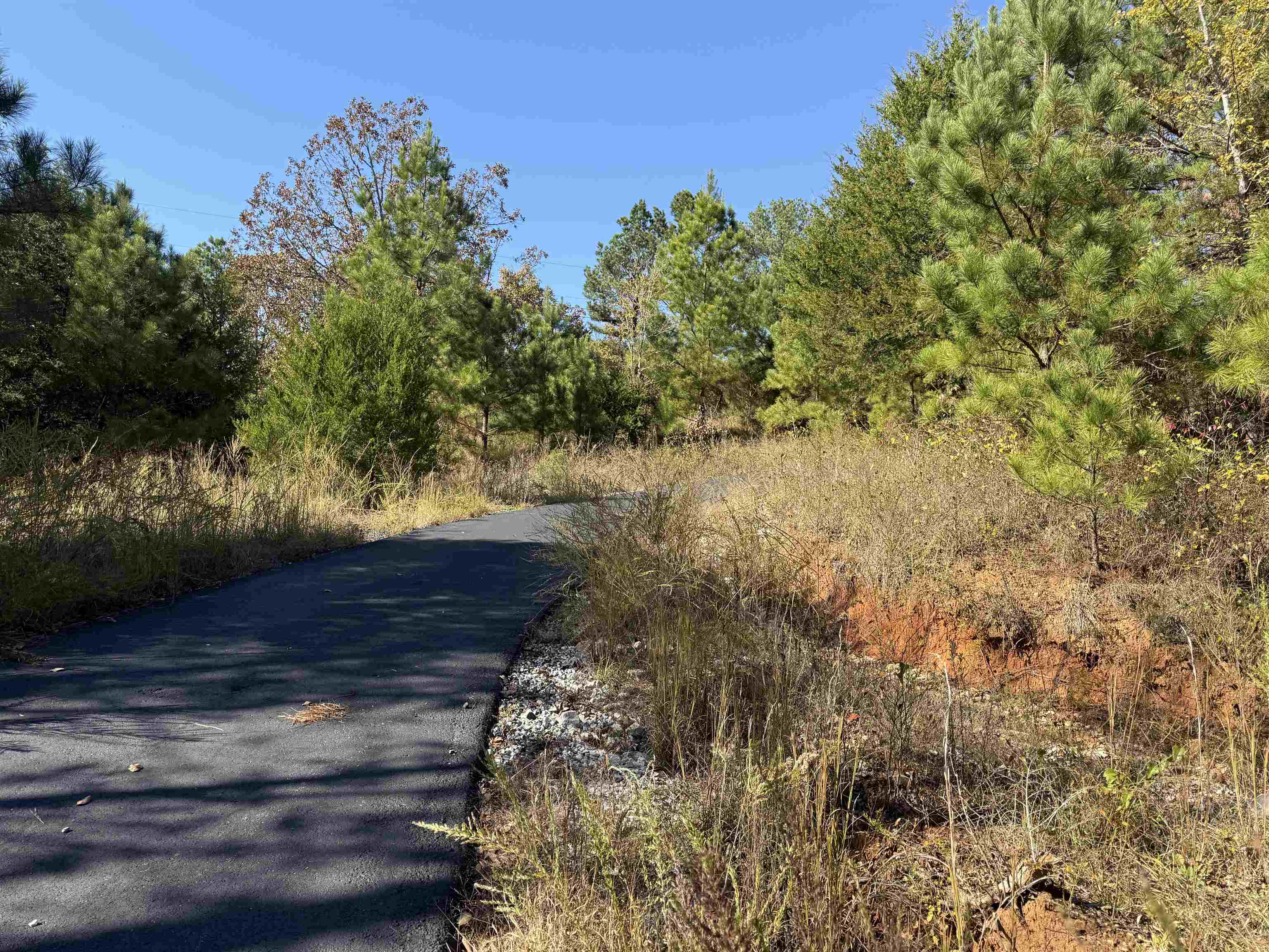 Photo 38 - Residential for sale – 618  Martin Creek   Williford, AR