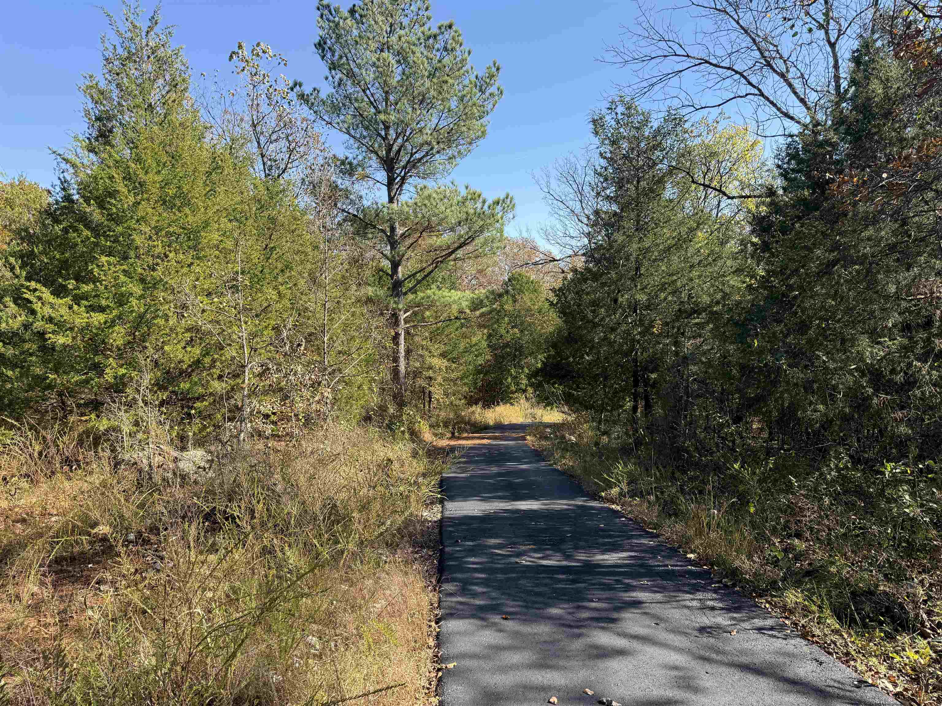 Photo 39 - Residential for sale – 618  Martin Creek   Williford, AR