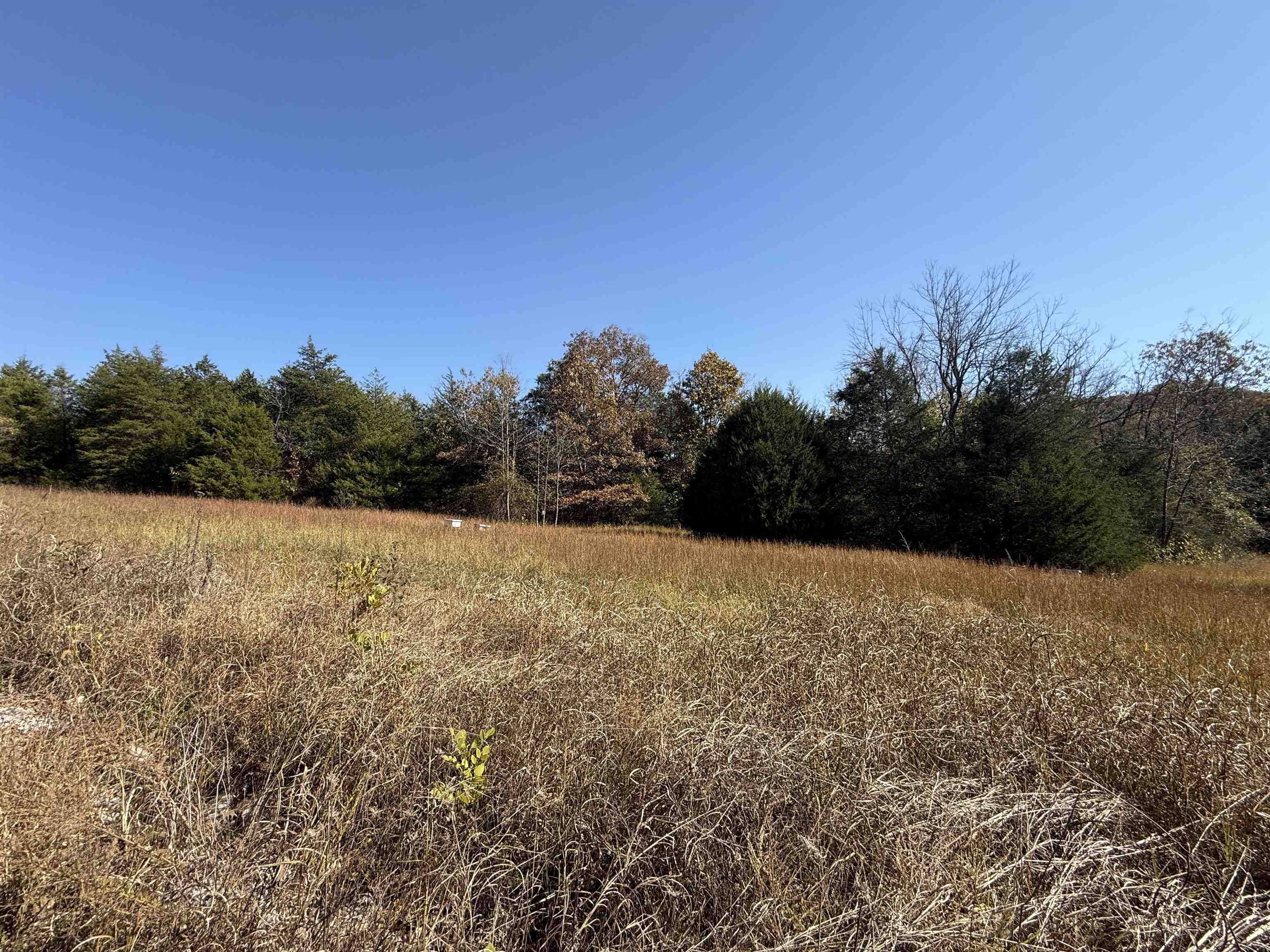 Photo 42 - Residential for sale – 618  Martin Creek   Williford, AR