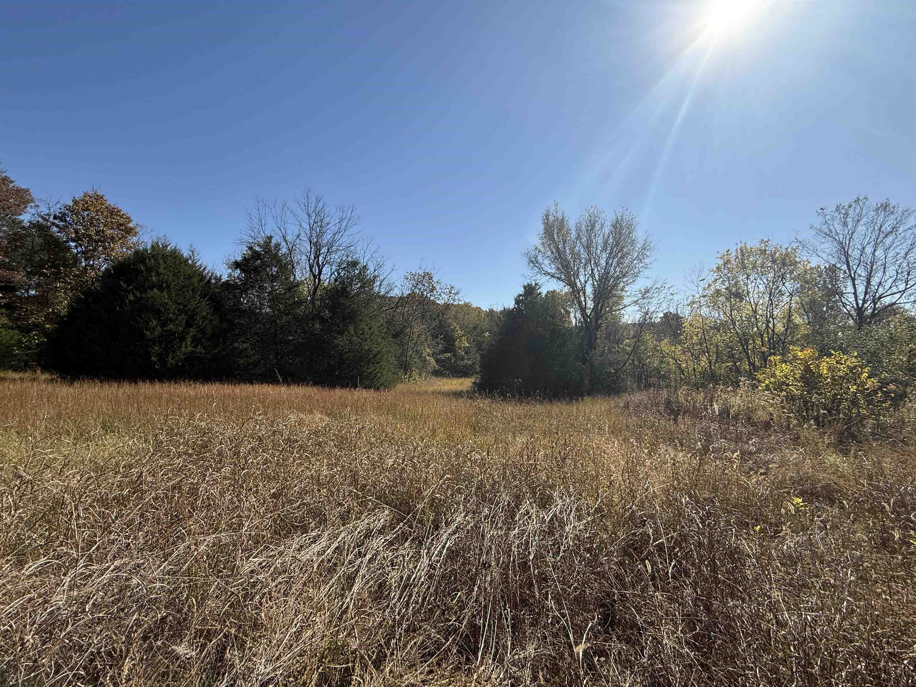 Photo 43 - Residential for sale – 618  Martin Creek   Williford, AR