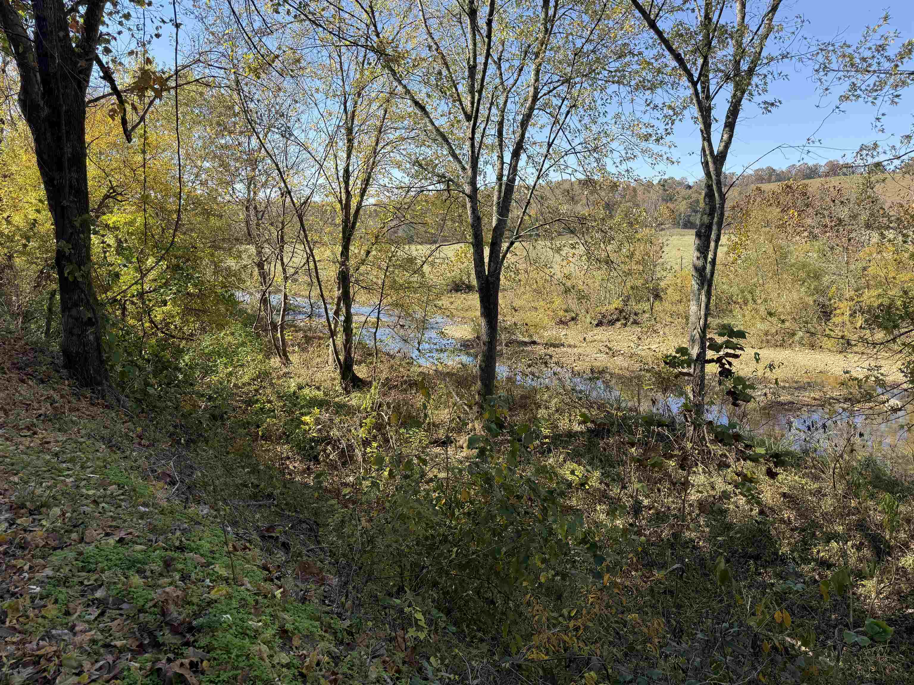 Photo 46 - Residential for sale – 618  Martin Creek   Williford, AR