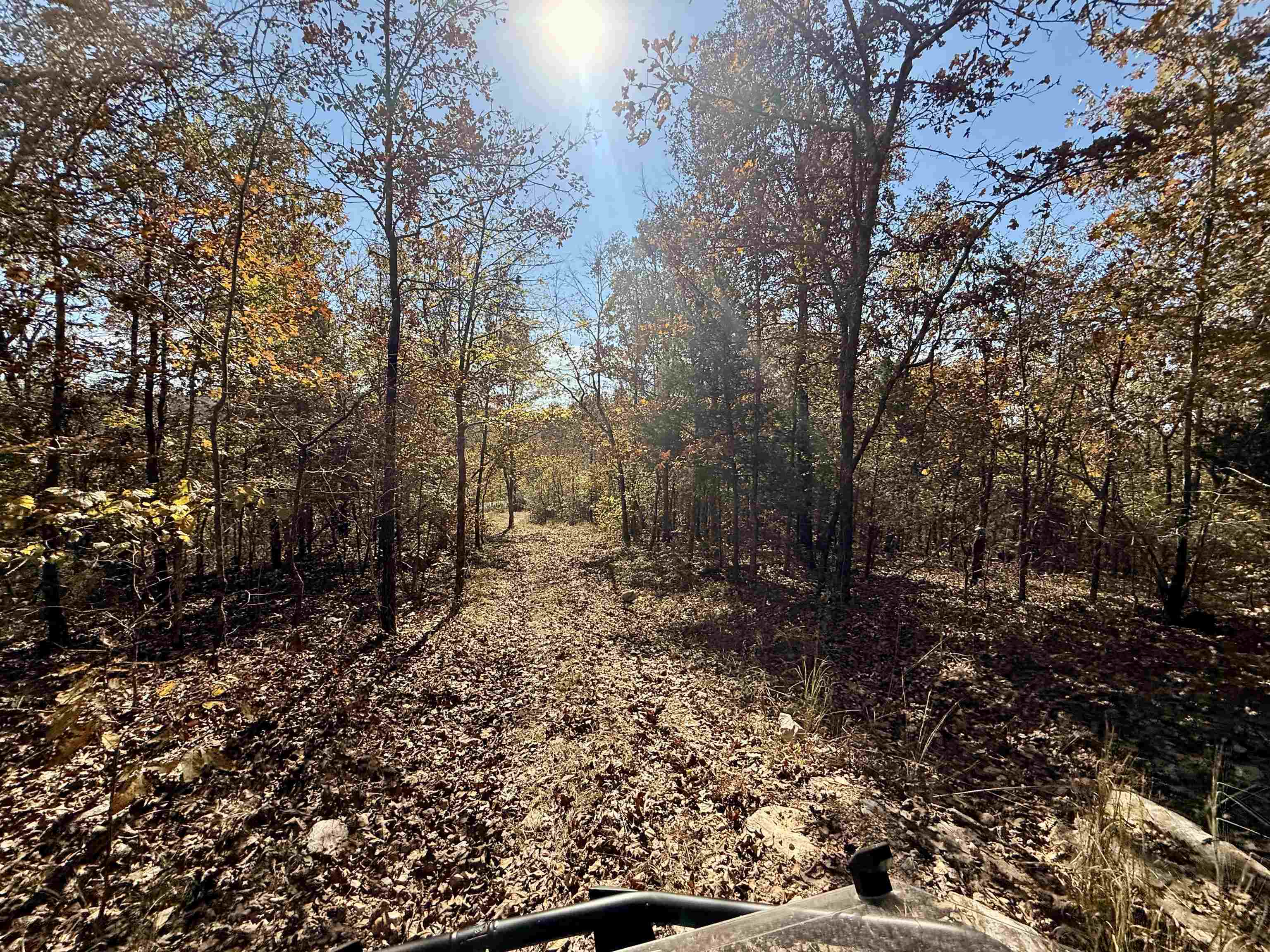 Photo 47 - Residential for sale – 618  Martin Creek   Williford, AR