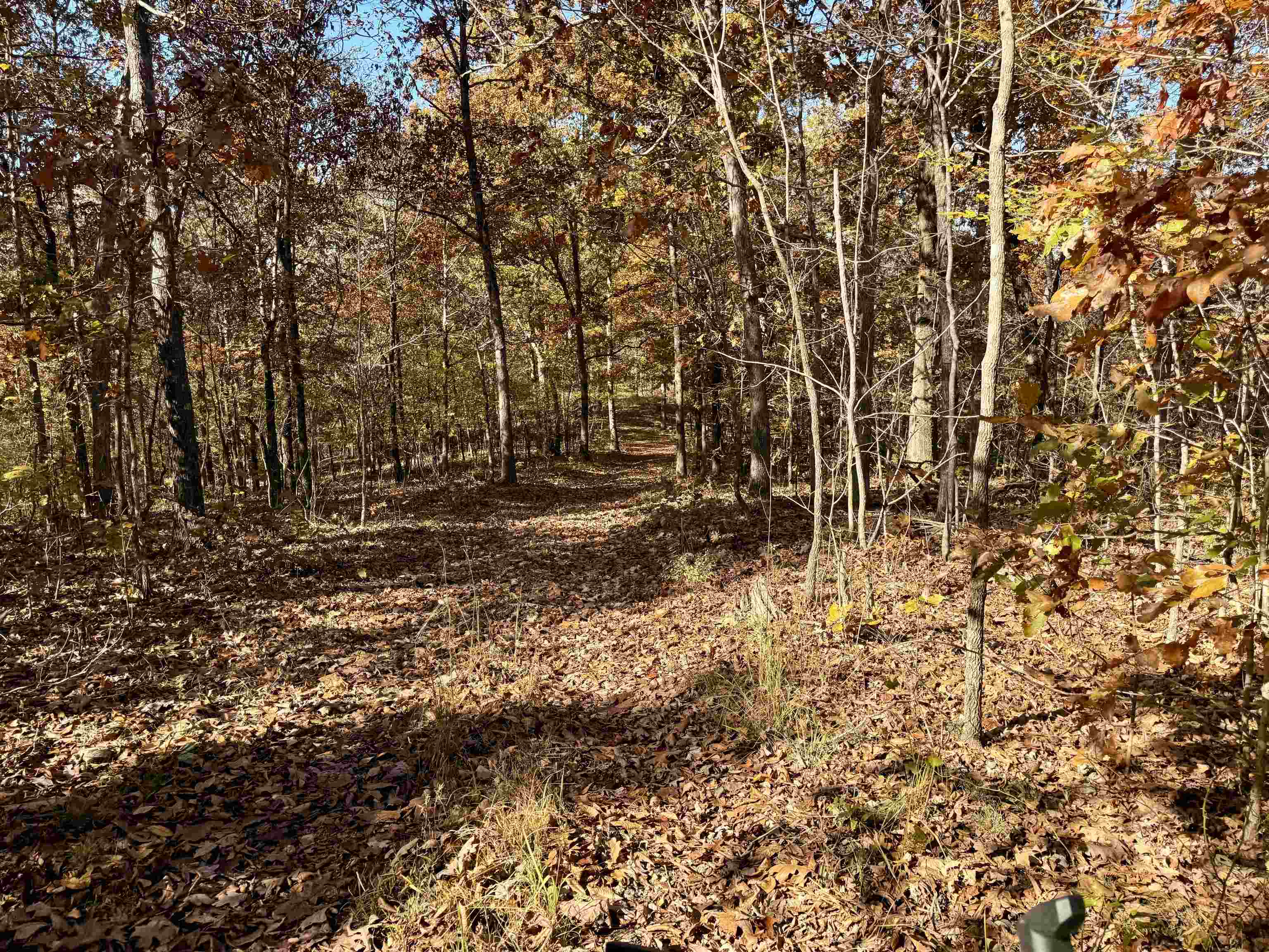 Photo 48 - Residential for sale – 618  Martin Creek   Williford, AR