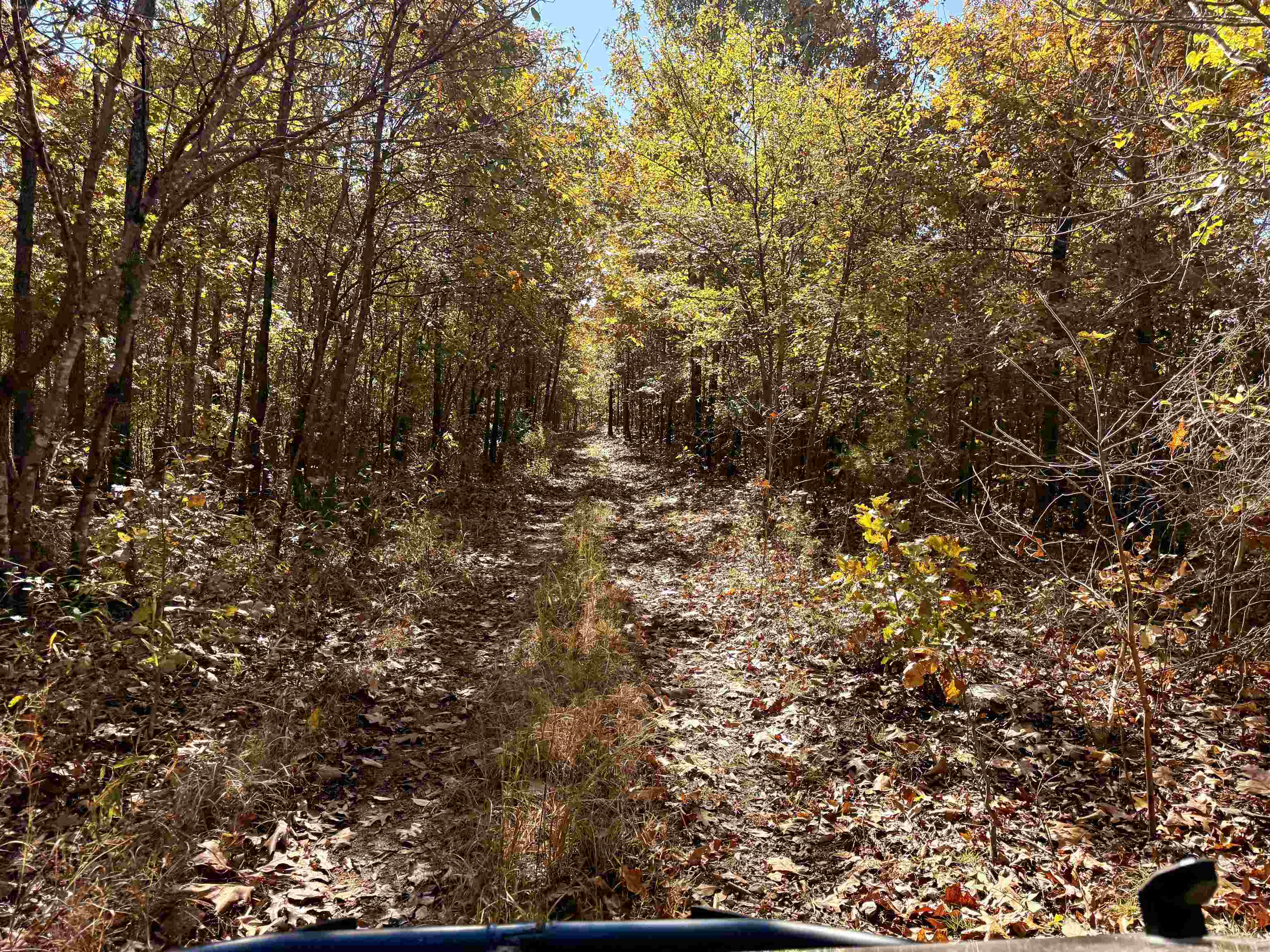 Photo 49 - Residential for sale – 618  Martin Creek   Williford, AR