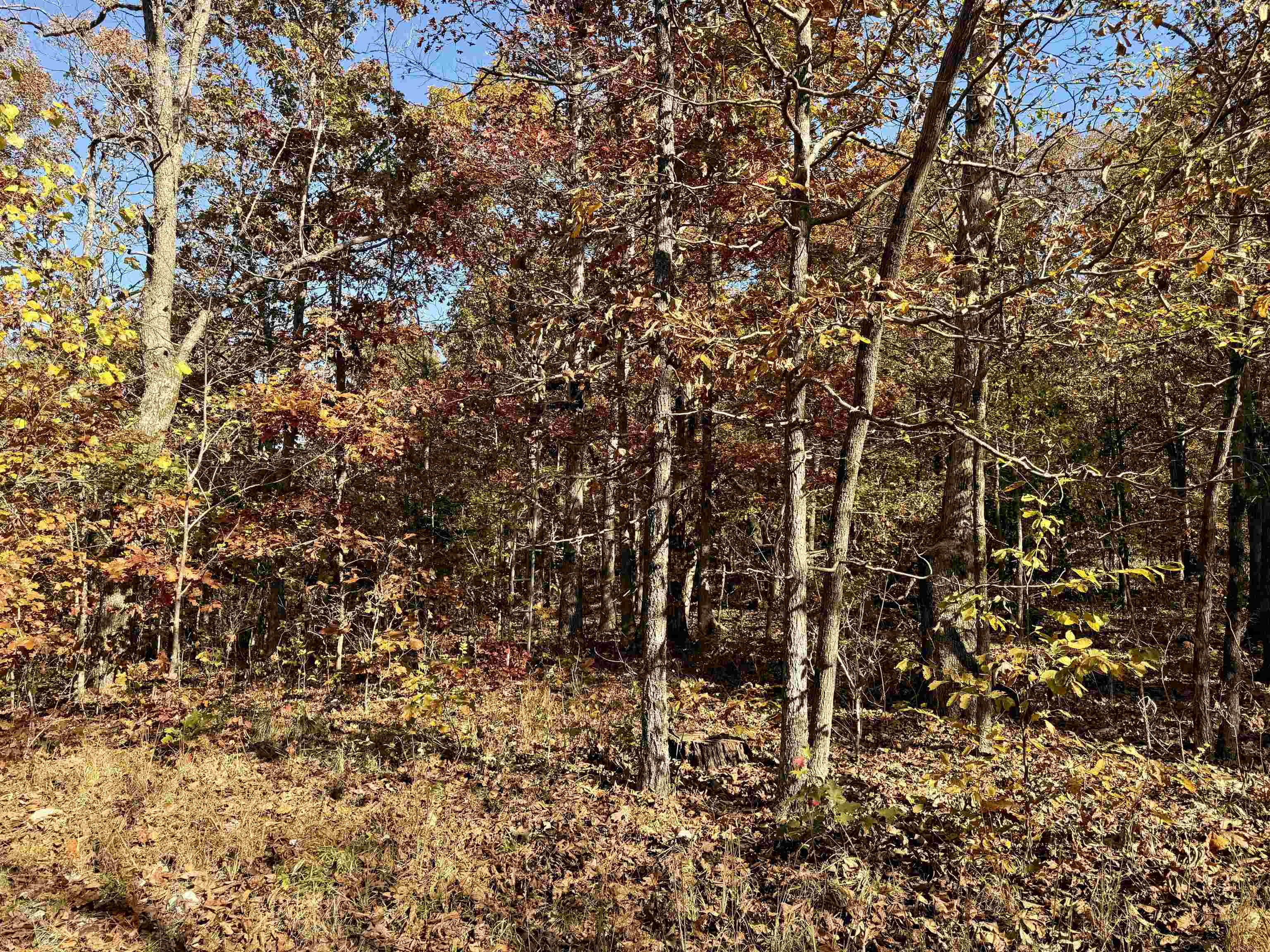 Photo 6 - Residential for sale – 618  Martin Creek   Williford, AR