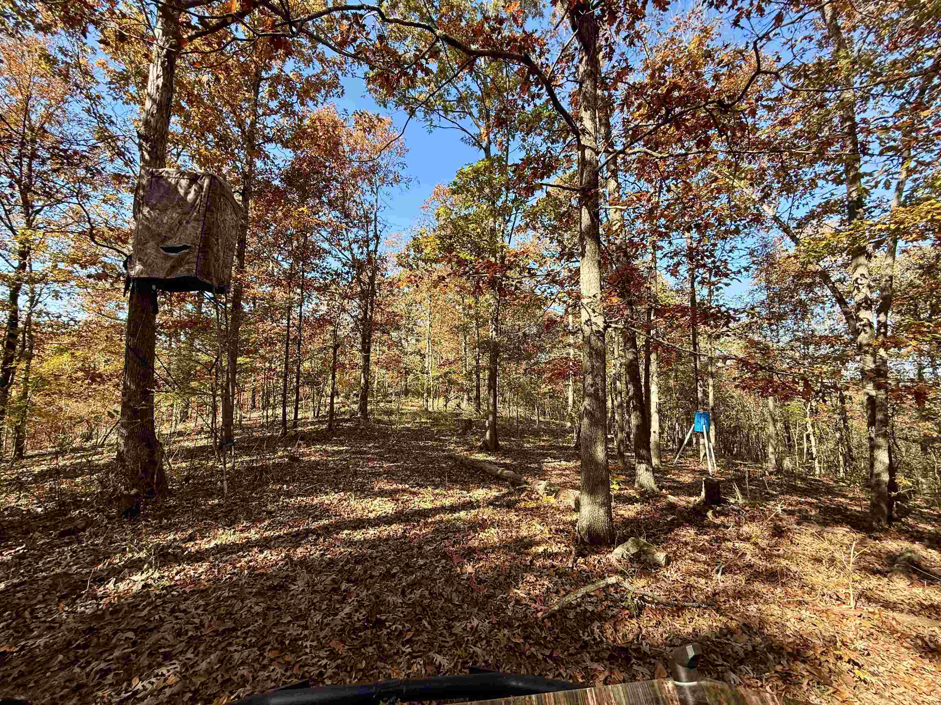 Photo 7 - Residential for sale – 618  Martin Creek   Williford, AR