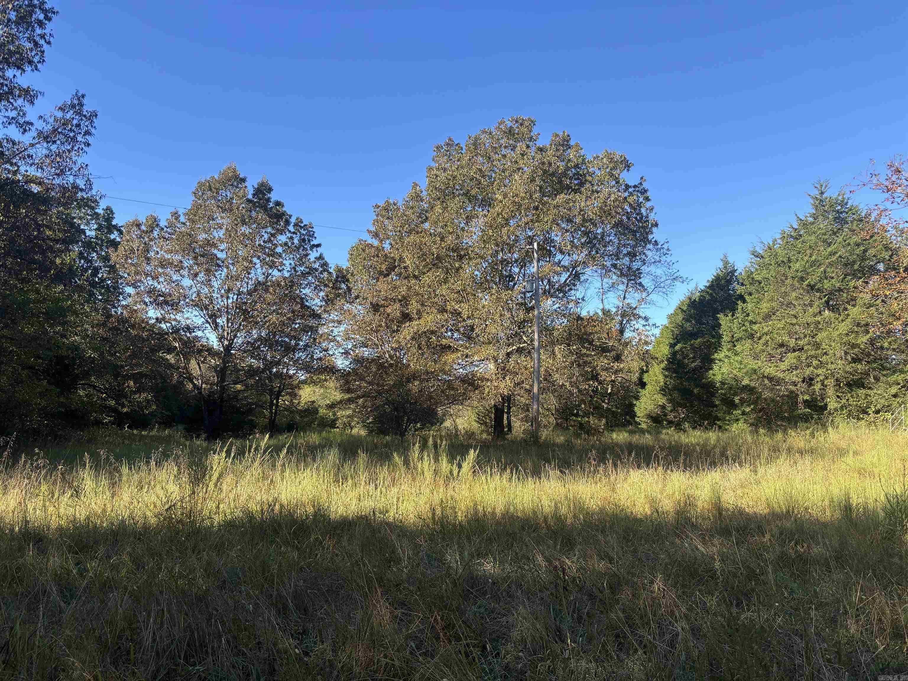 Photo 4 - Vacant Land for sale – 000  Timbercrest Road   Viola, AR