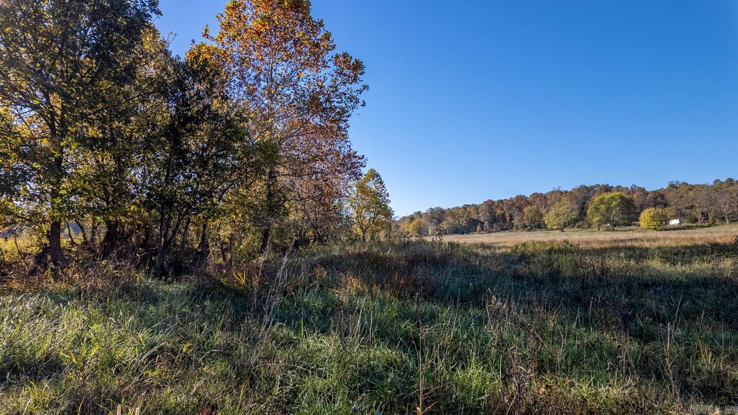 Photo 19 - Residential for sale – 15256  Highway 9   Mammoth Spring, AR