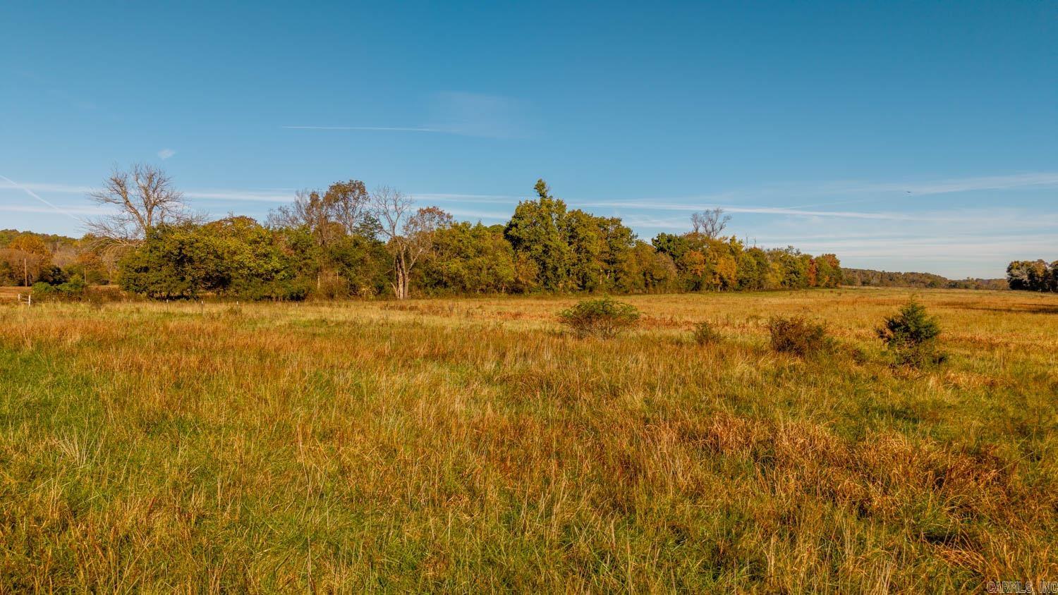 Photo 8 - Residential for sale – 15256  Highway 9   Mammoth Spring, AR