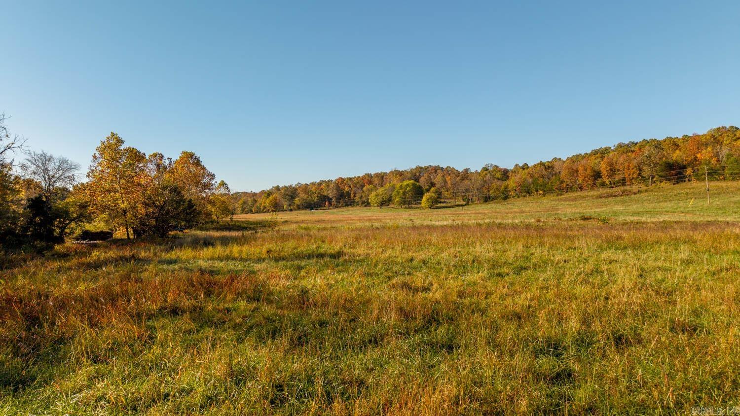 Photo 10 - Residential for sale – 15256  Highway 9   Mammoth Spring, AR