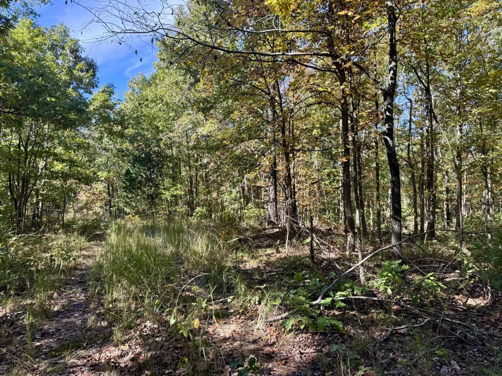 Photo 11 - Vacant Land for sale – 14A  Highway 58   Sidney, AR