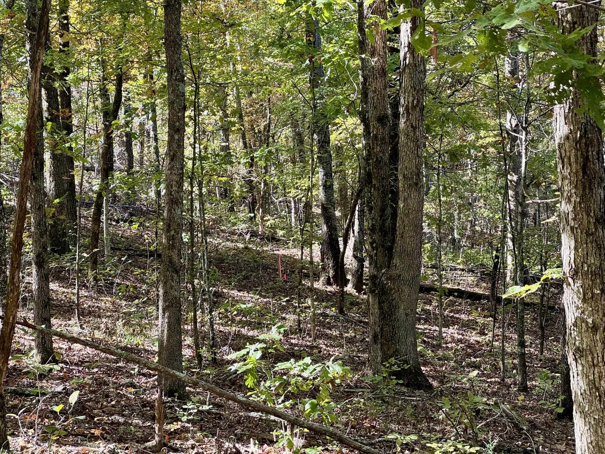 Photo 14 - Vacant Land for sale – 14A  Highway 58   Sidney, AR