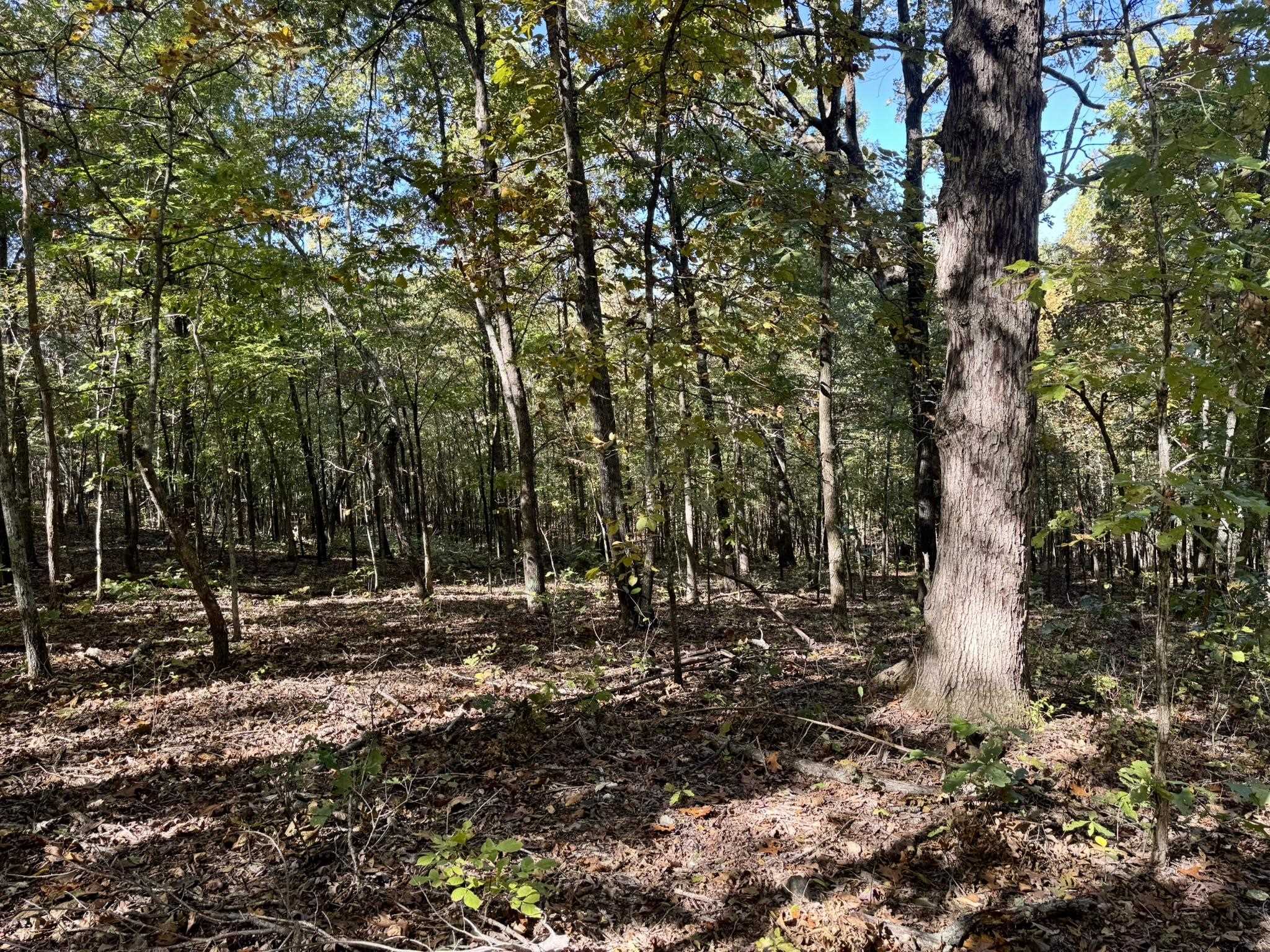 Photo 15 - Vacant Land for sale – 14A  Highway 58   Sidney, AR