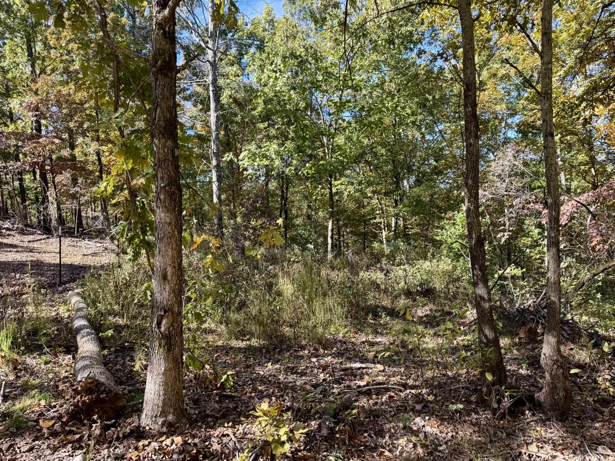 Photo 16 - Vacant Land for sale – 14A  Highway 58   Sidney, AR