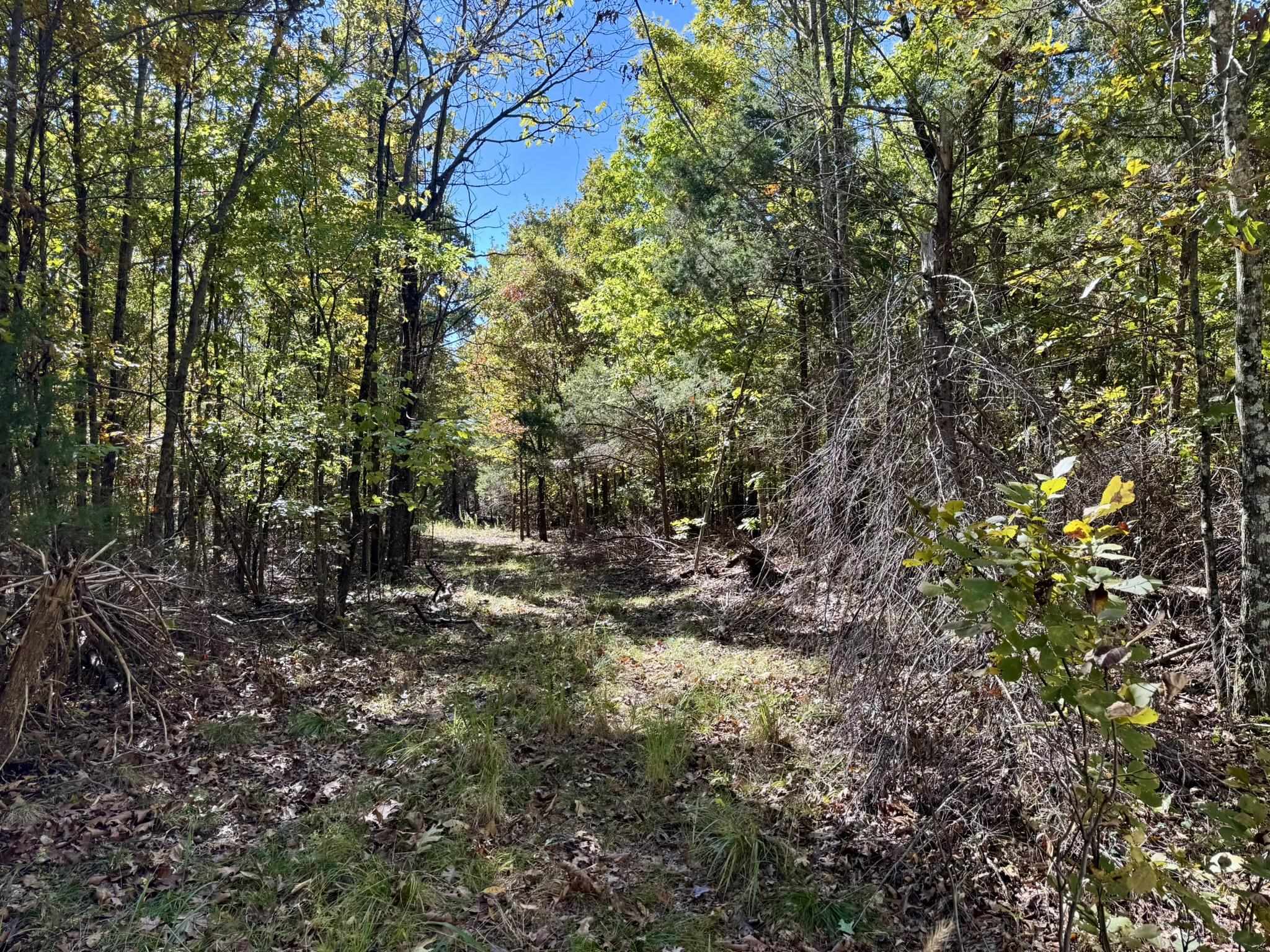 Photo 4 - Vacant Land for sale – 14A  Highway 58   Sidney, AR