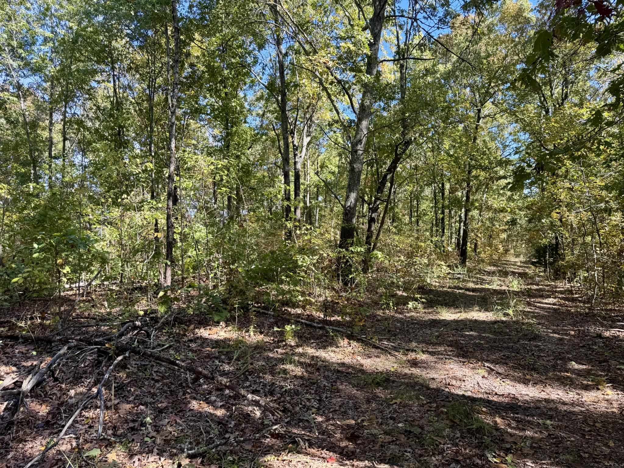 Photo 10 - Vacant Land for sale – 14A  Highway 58   Sidney, AR