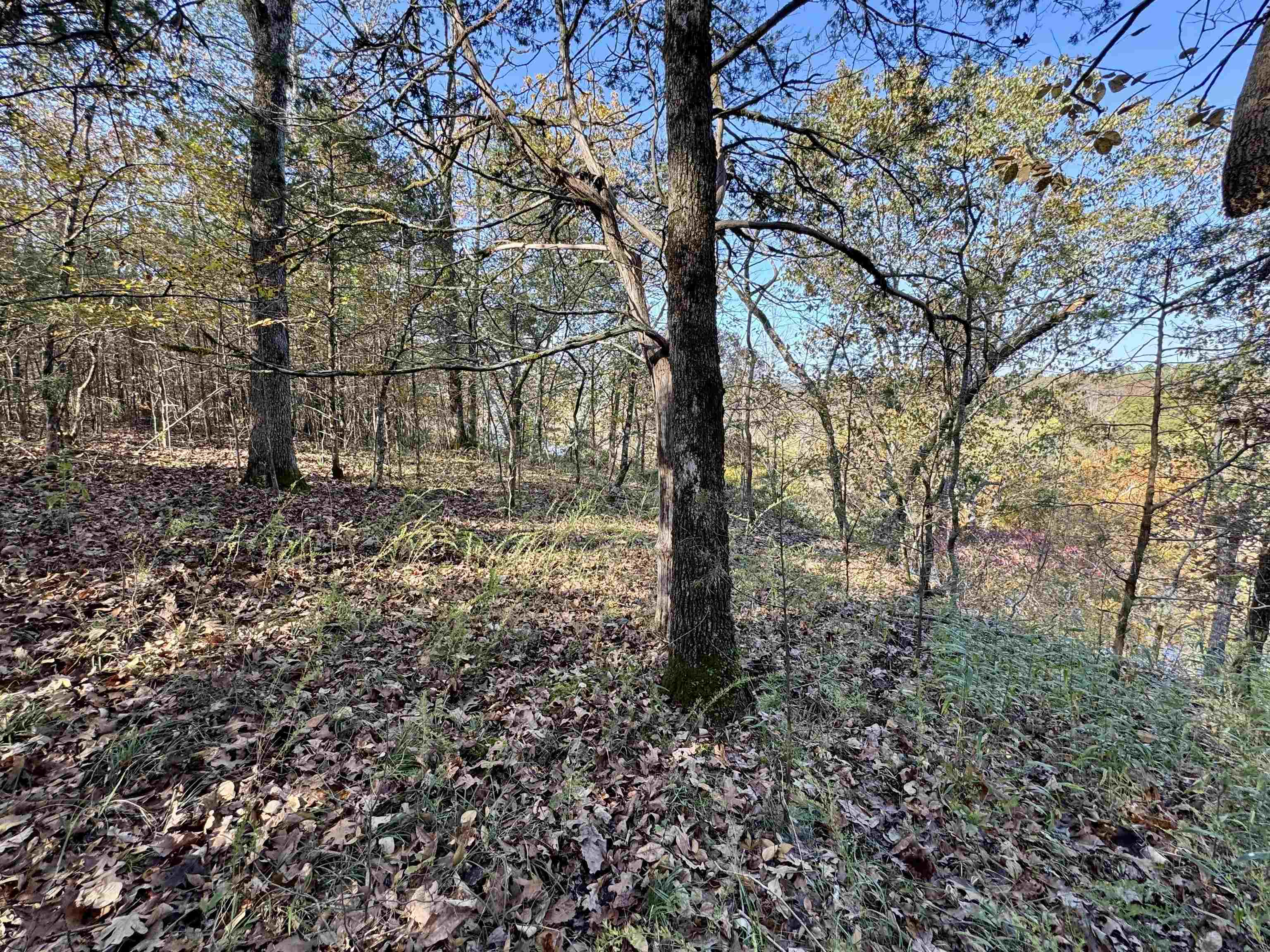 Photo 12 - Vacant Land for sale – 40  Boswell Road   Melbourne, AR