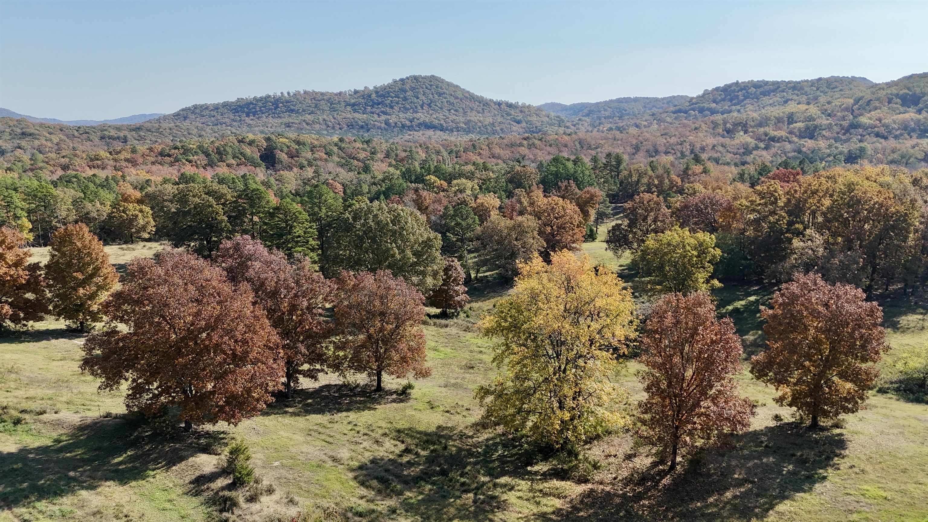 Photo 14 - Vacant Land for sale – 40  Boswell Road   Melbourne, AR