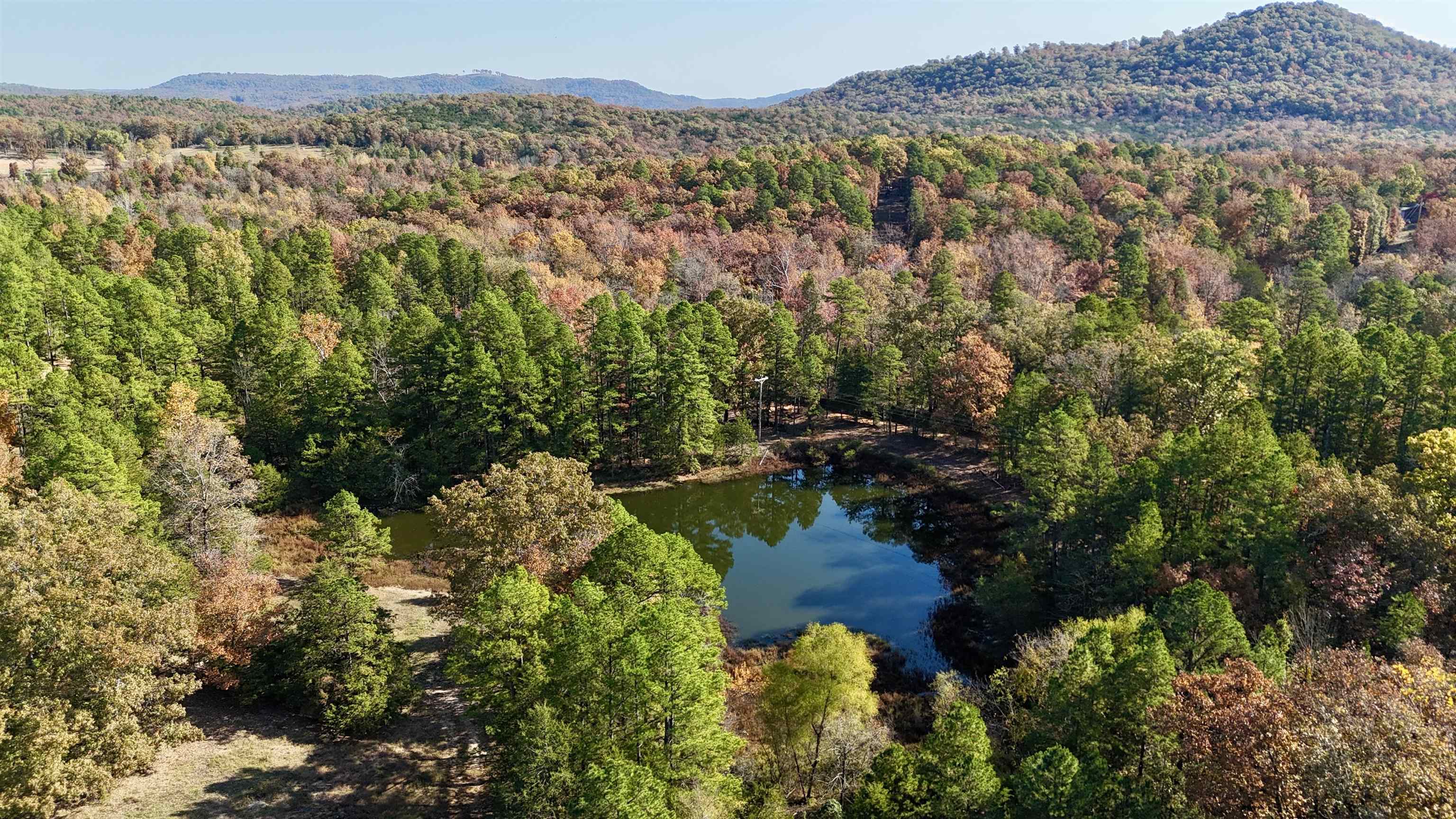 Photo 15 - Vacant Land for sale – 40  Boswell Road   Melbourne, AR