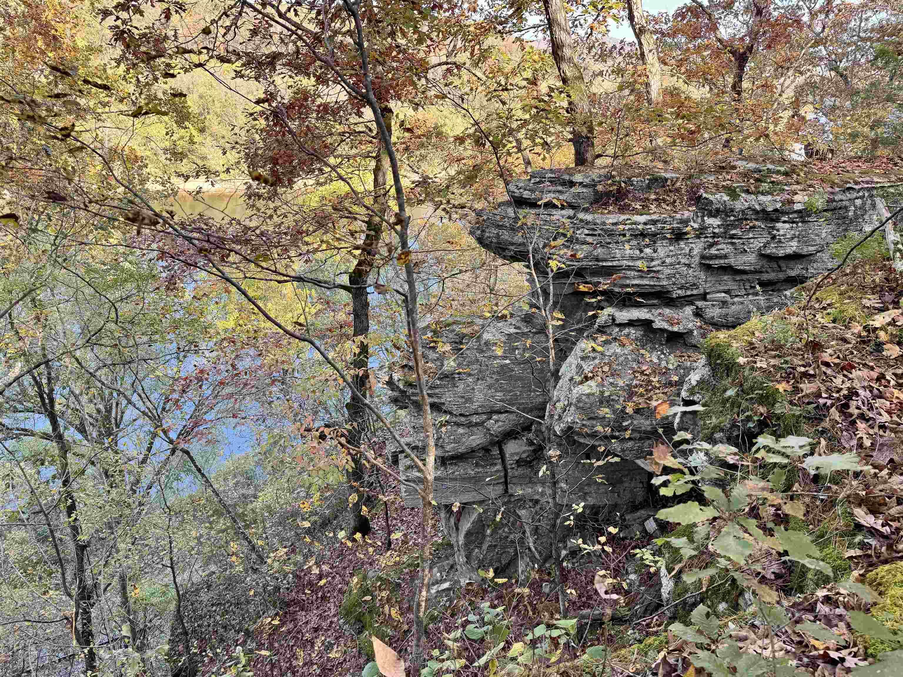 Photo 3 - Vacant Land for sale – 40  Boswell Road   Melbourne, AR