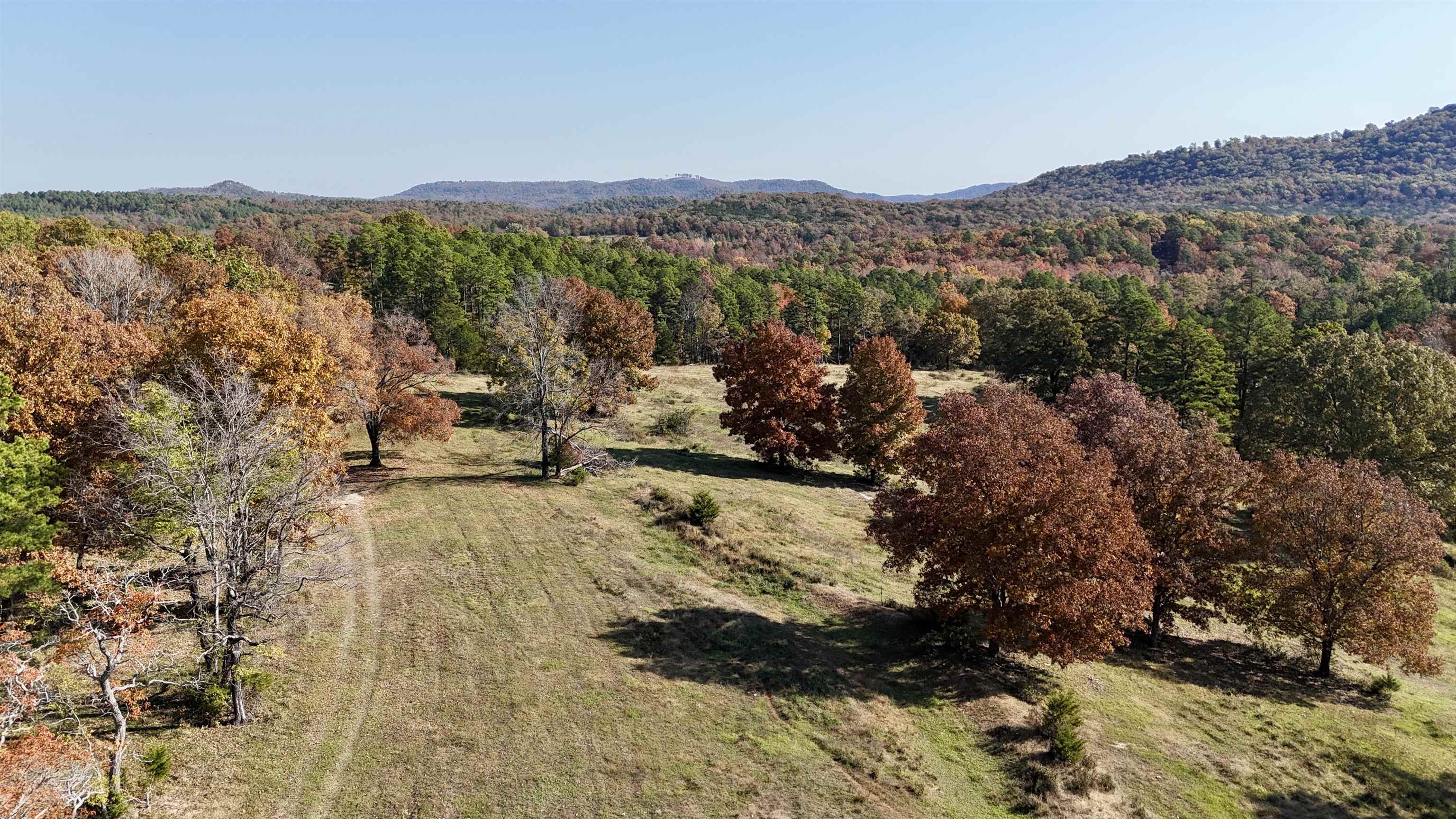 Photo 4 - Vacant Land for sale – 40  Boswell Road   Melbourne, AR