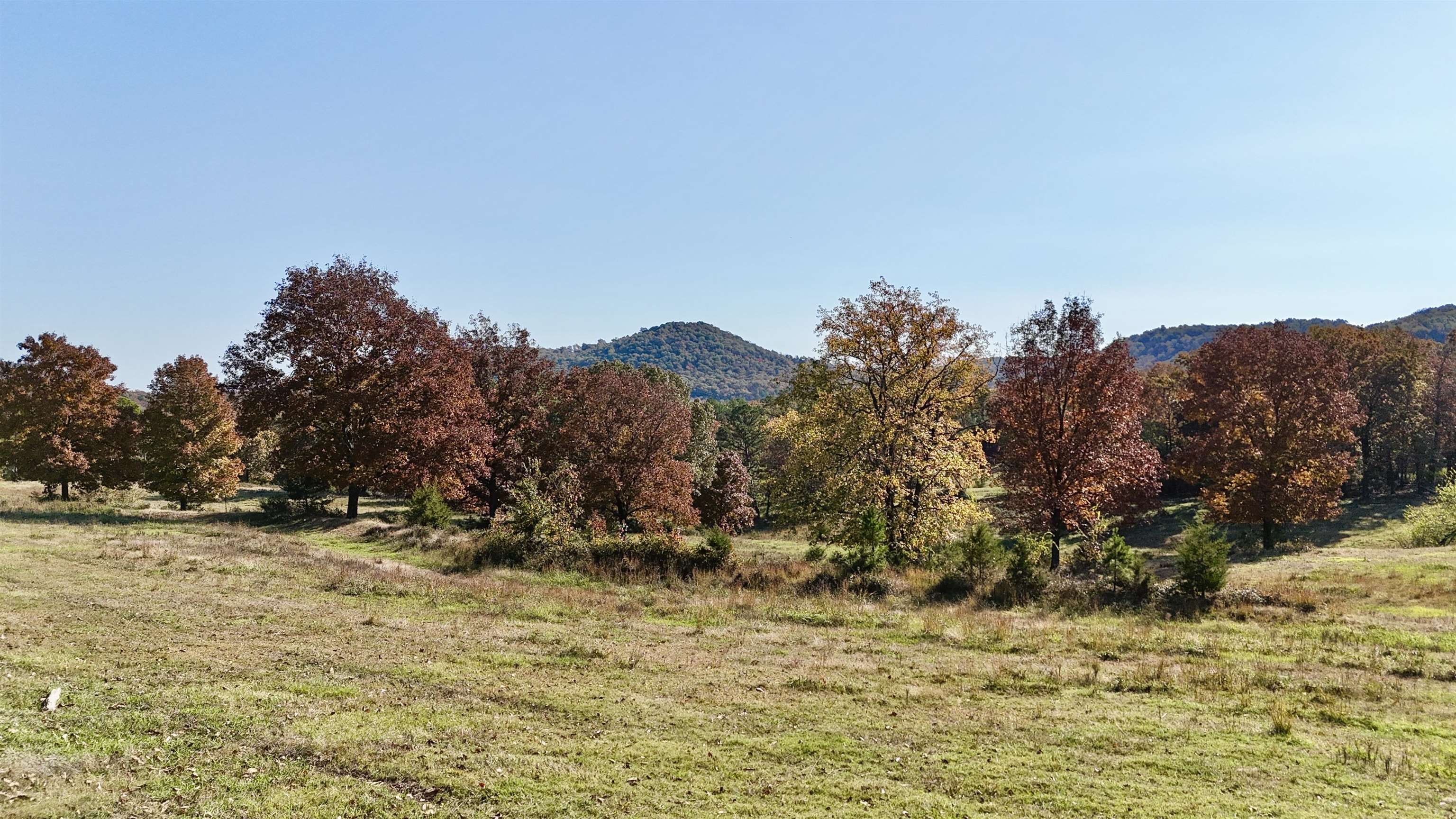 Photo 5 - Vacant Land for sale – 40  Boswell Road   Melbourne, AR