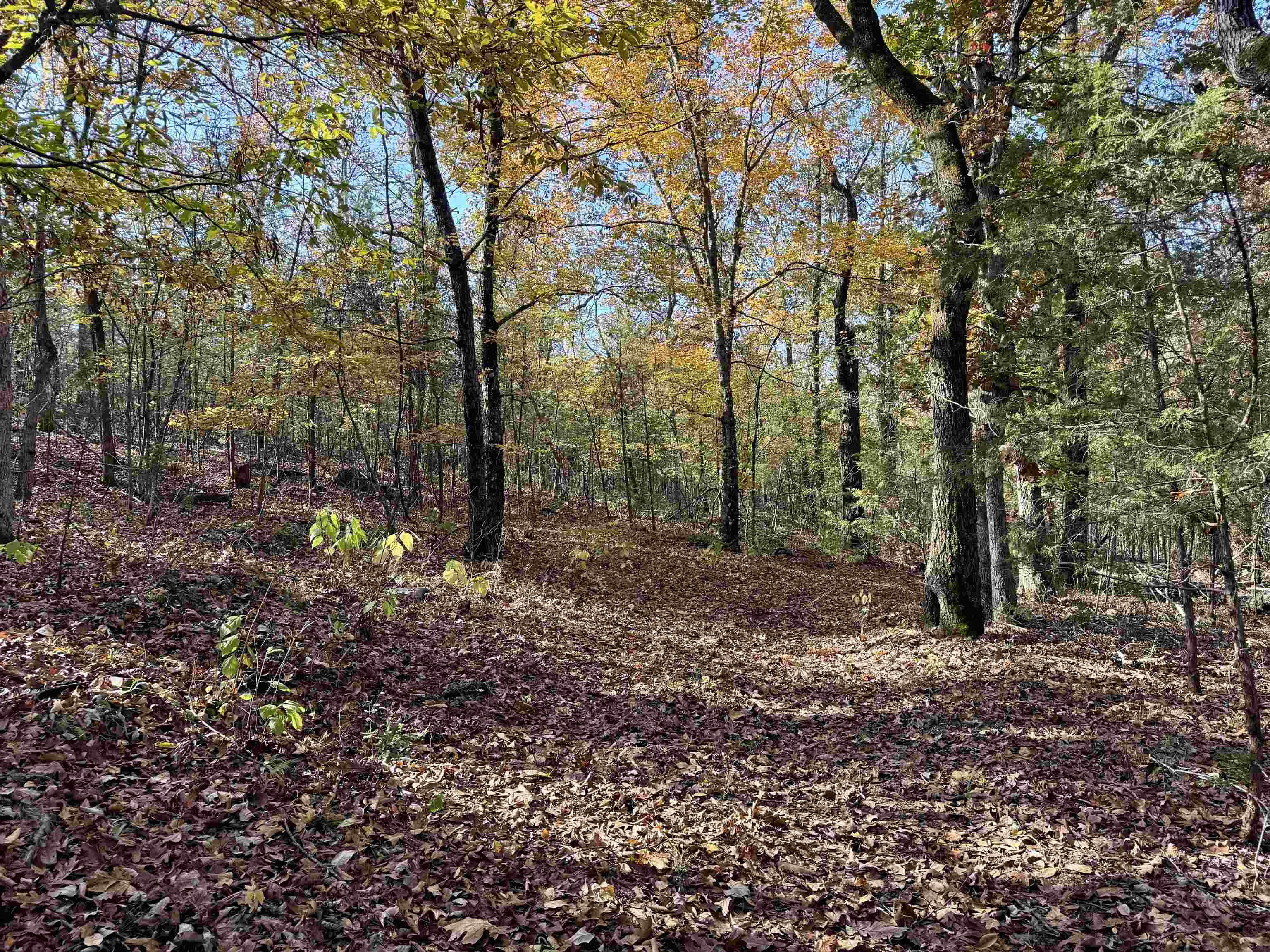 Photo 8 - Vacant Land for sale – 40  Boswell Road   Melbourne, AR