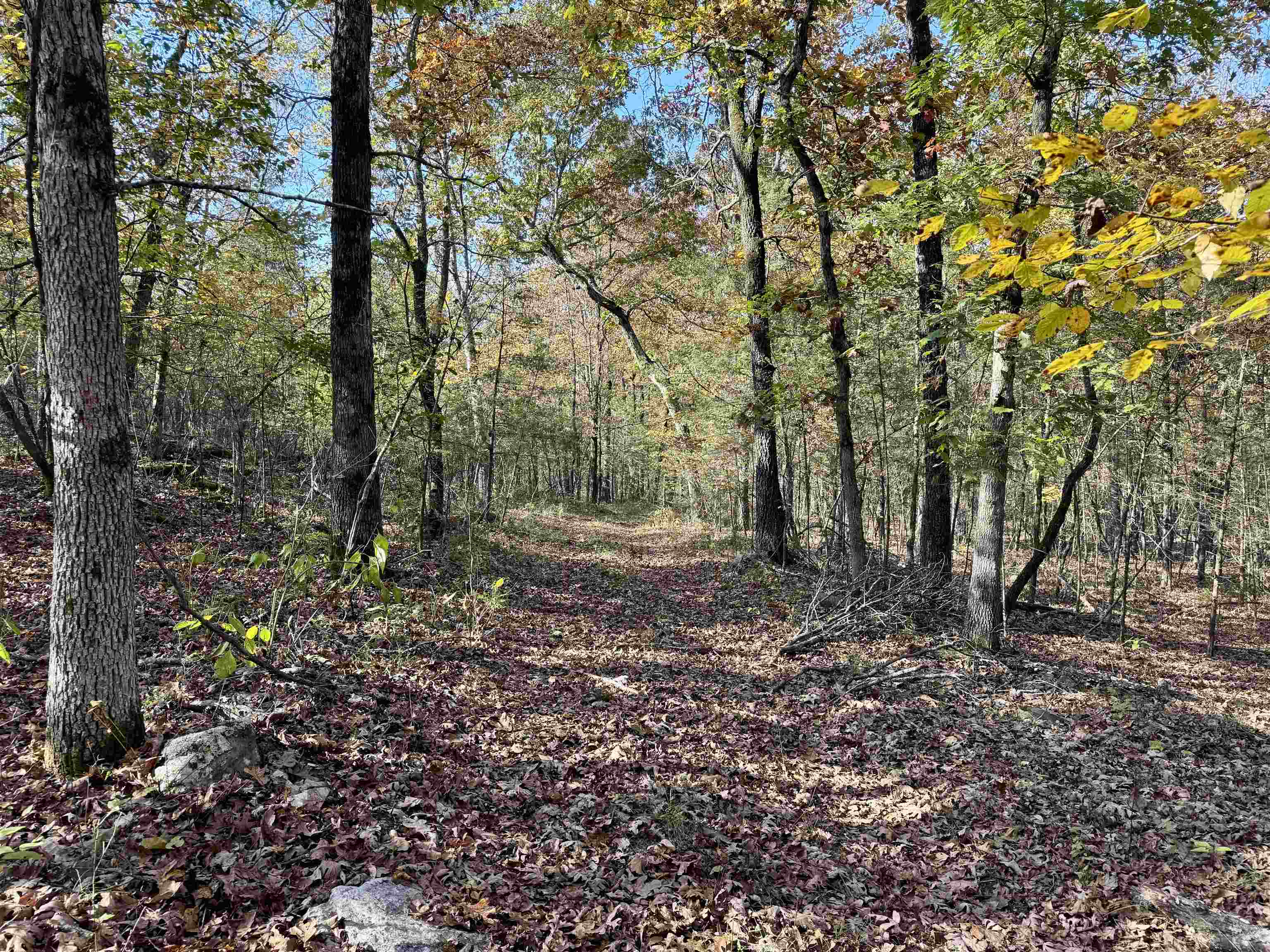 Photo 10 - Vacant Land for sale – 40  Boswell Road   Melbourne, AR