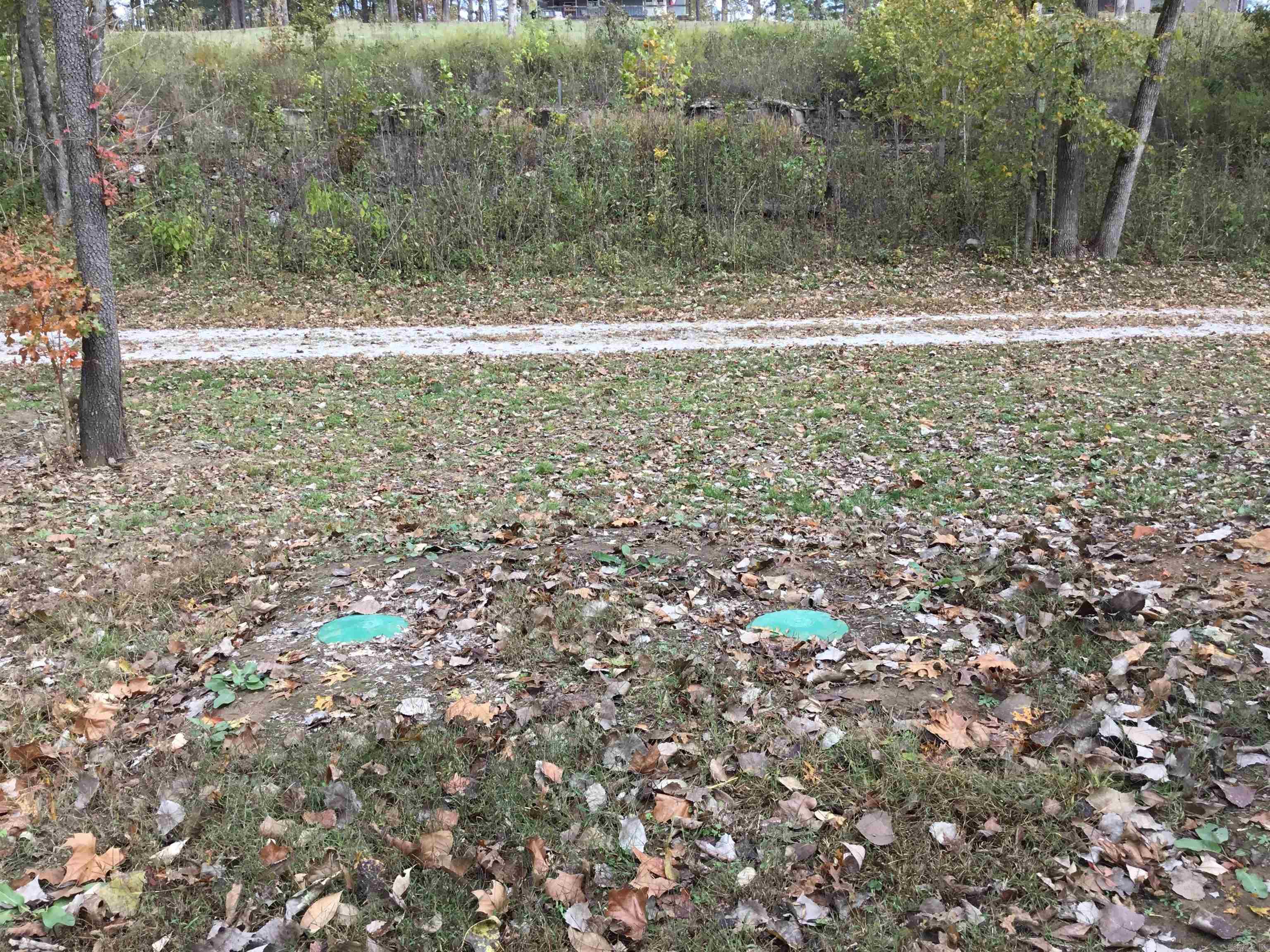 Photo 11 - Vacant Land for sale – 300  Mount Olive Manor   Melbourne, AR