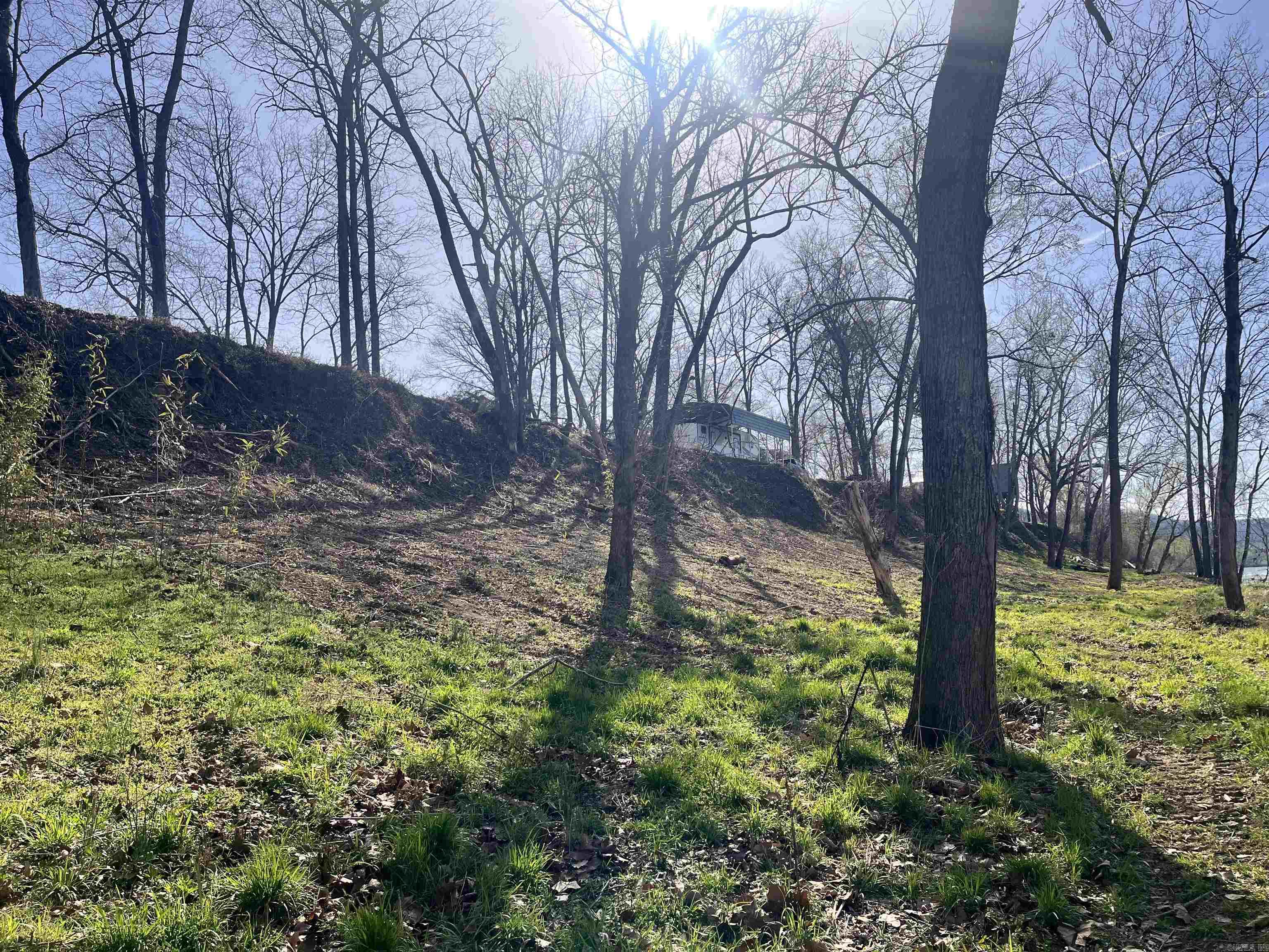 Photo 43 - Vacant Land for sale – 300  Mount Olive Manor   Melbourne, AR