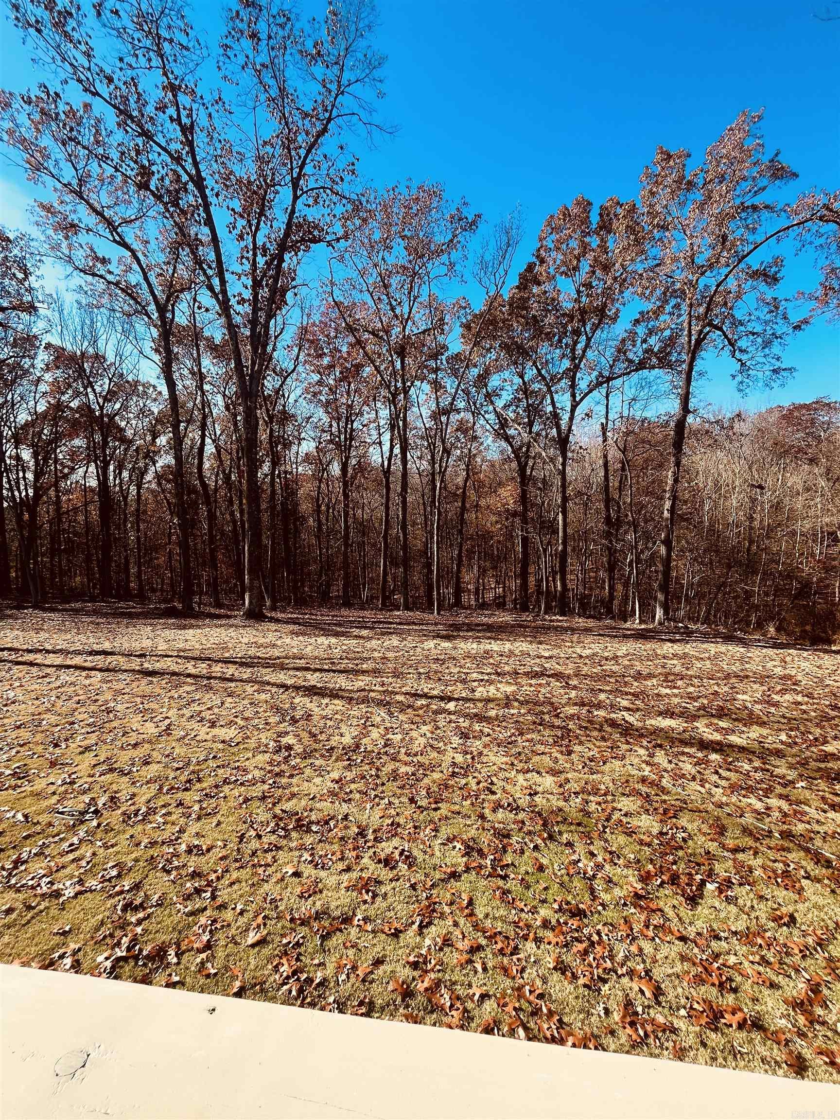 Photo 38 - Residential for sale – 137  Leatherwood   Batesville, AR