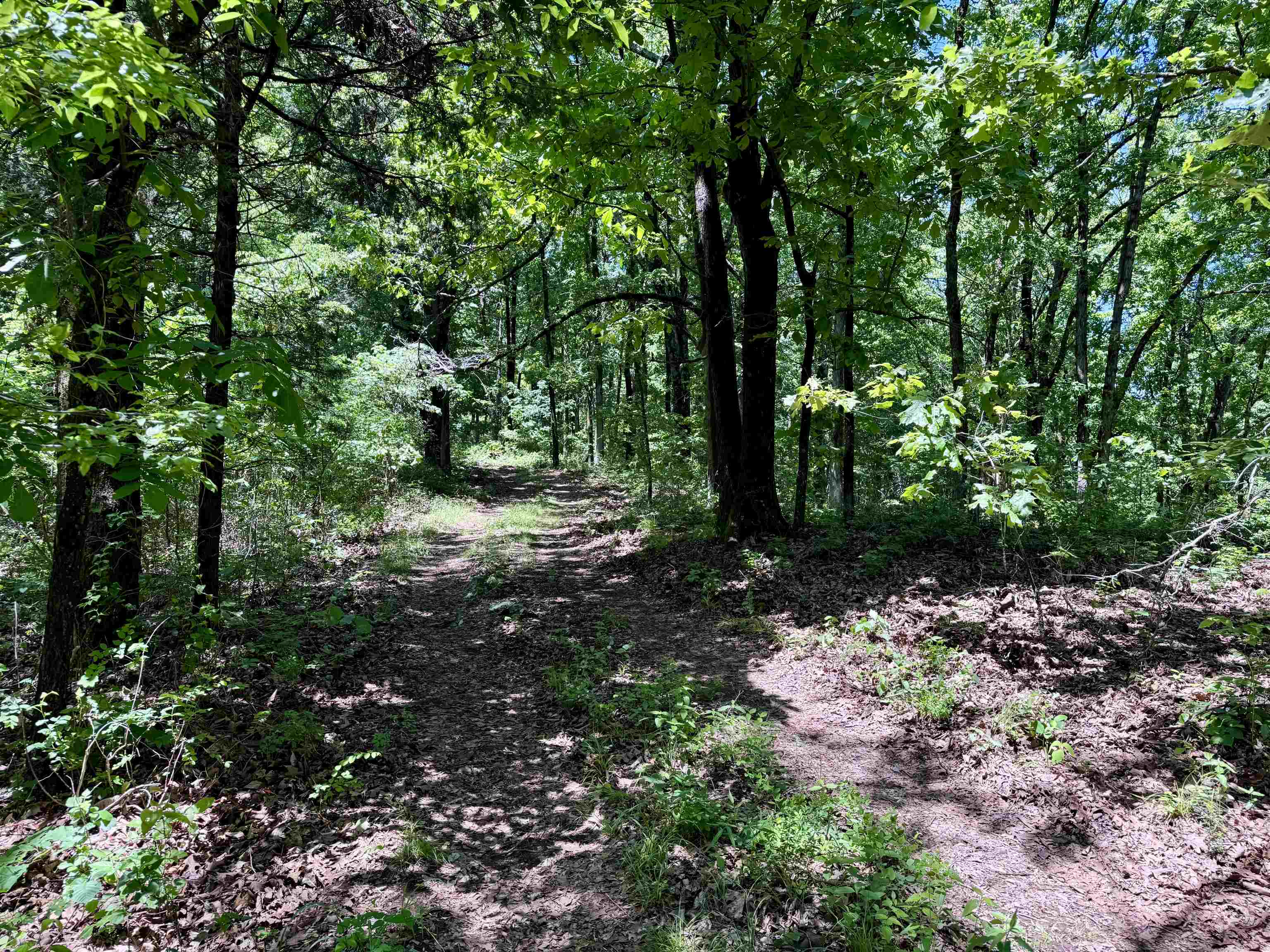 Photo 23 - Residential for sale – 11542 S AR HWY 9   Melbourne, AR