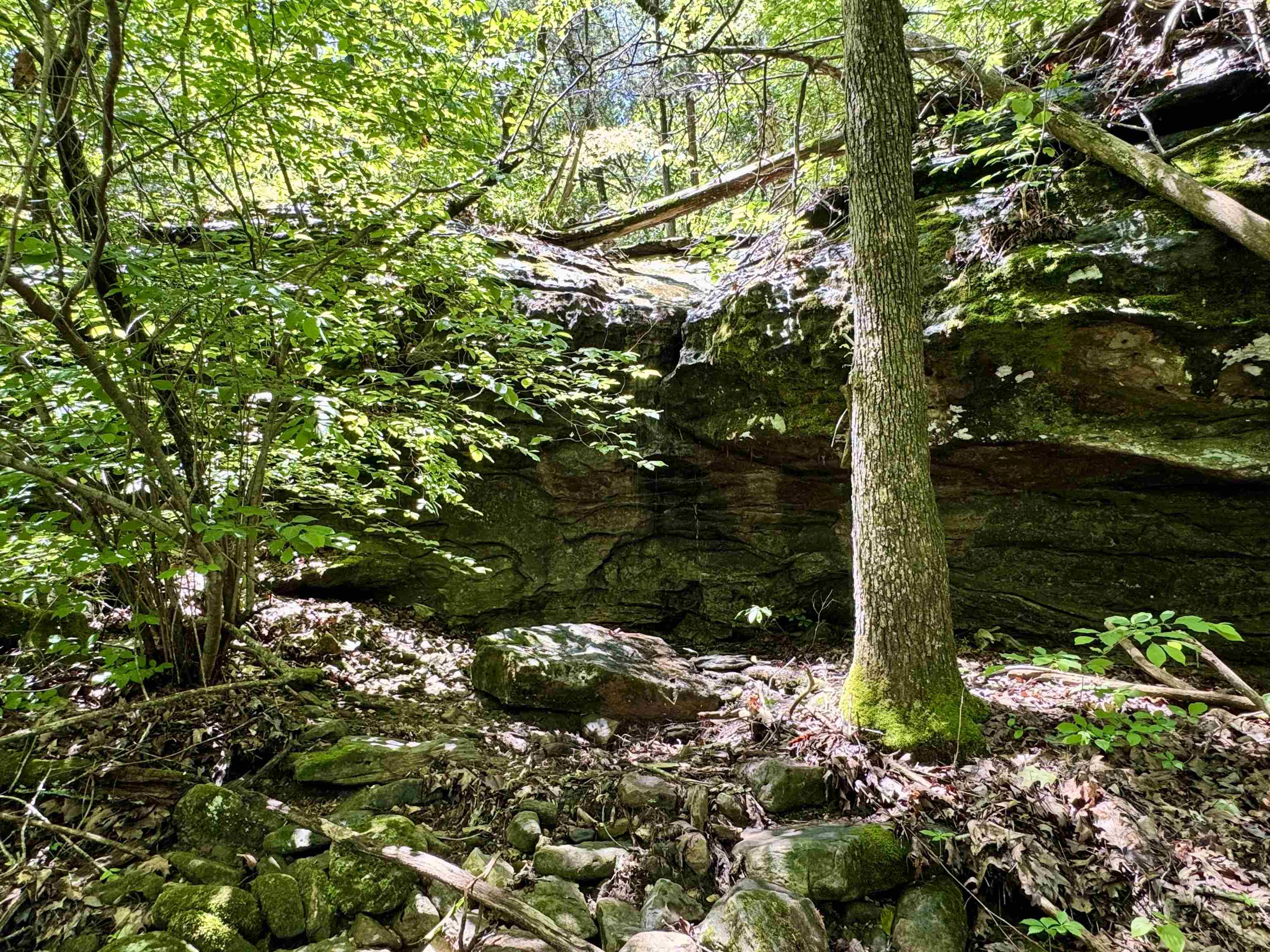 Photo 24 - Residential for sale – 11542 S AR HWY 9   Melbourne, AR