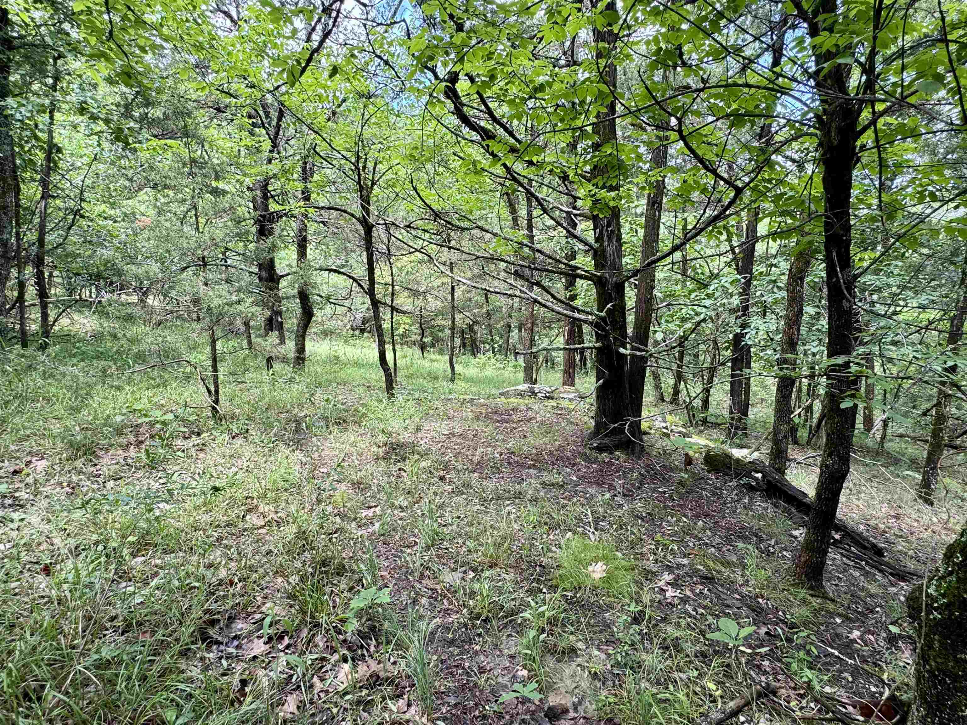 Photo 27 - Residential for sale – 11542 S AR HWY 9   Melbourne, AR